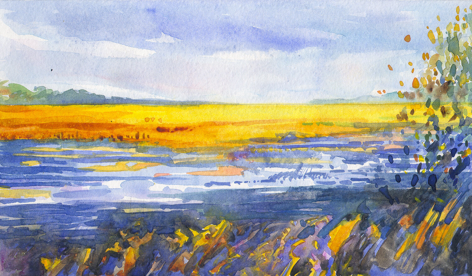 130112-kosinski-hobcaw-marshes-sc.jpg