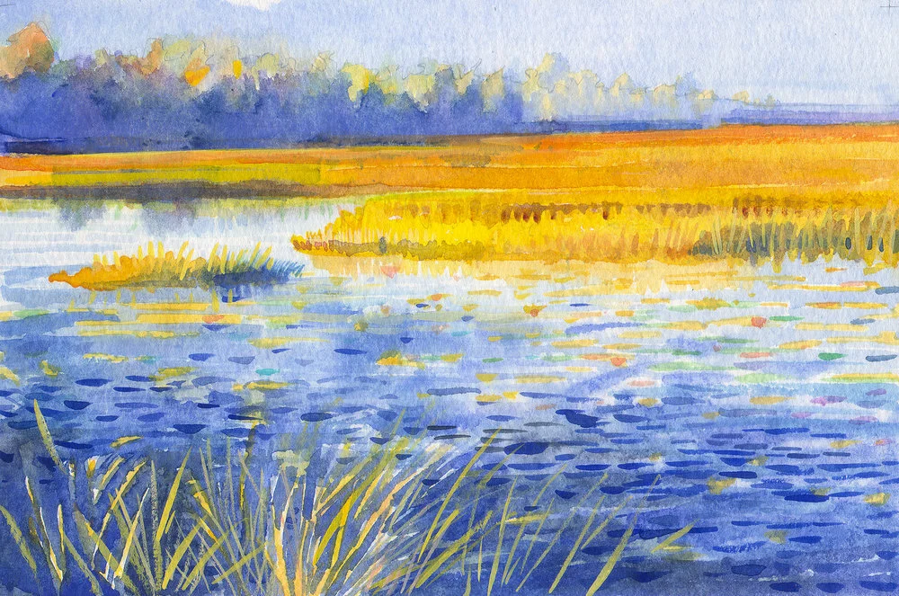 130113-kosinski-hobcaw-marshes-sc.jpg