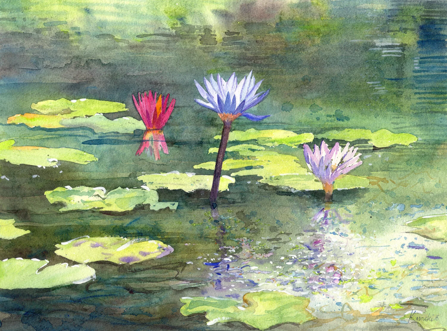 160520lily-pads-brookgreen-gardens-sc.jpg