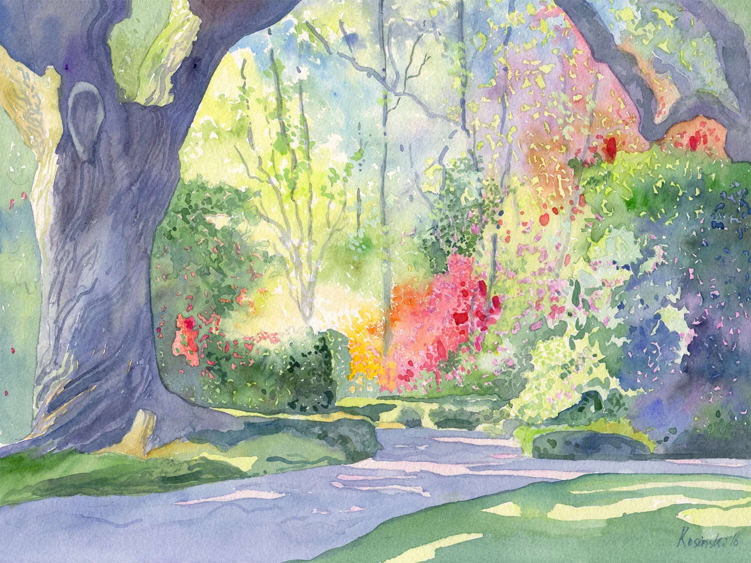 160531brookgreen.jpg