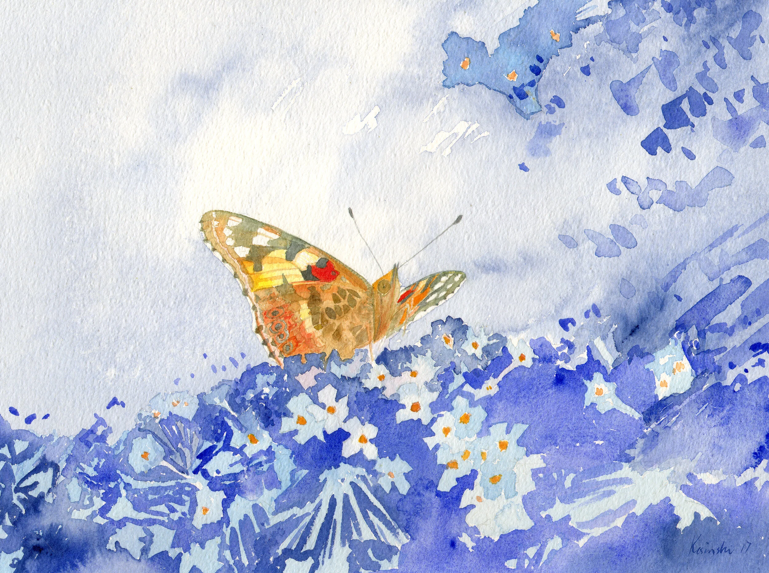 170717-kosinski-painted-lady-butterfly.jpg