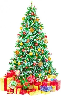 christmas tree.jpg