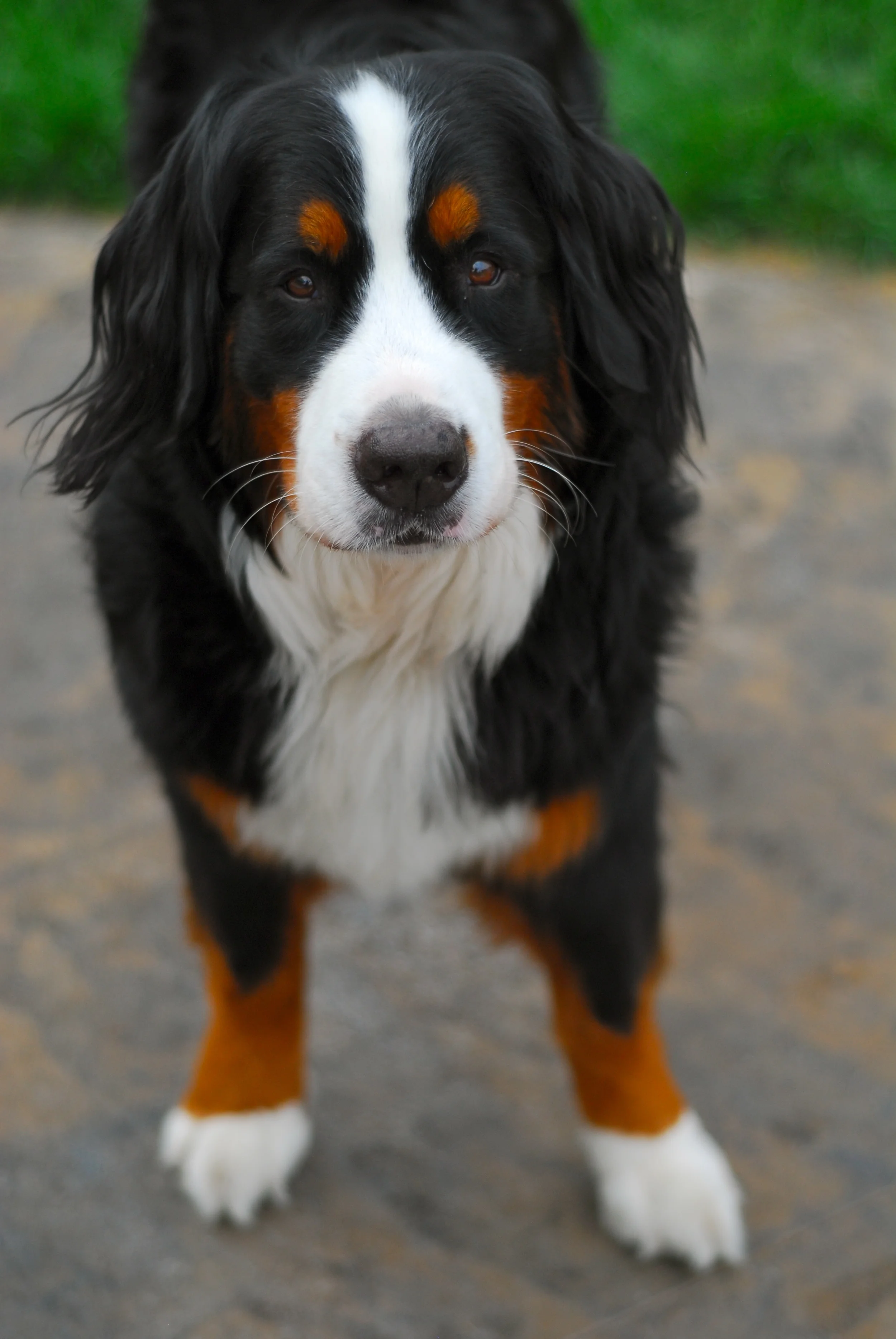 DSC_2818.jpg
