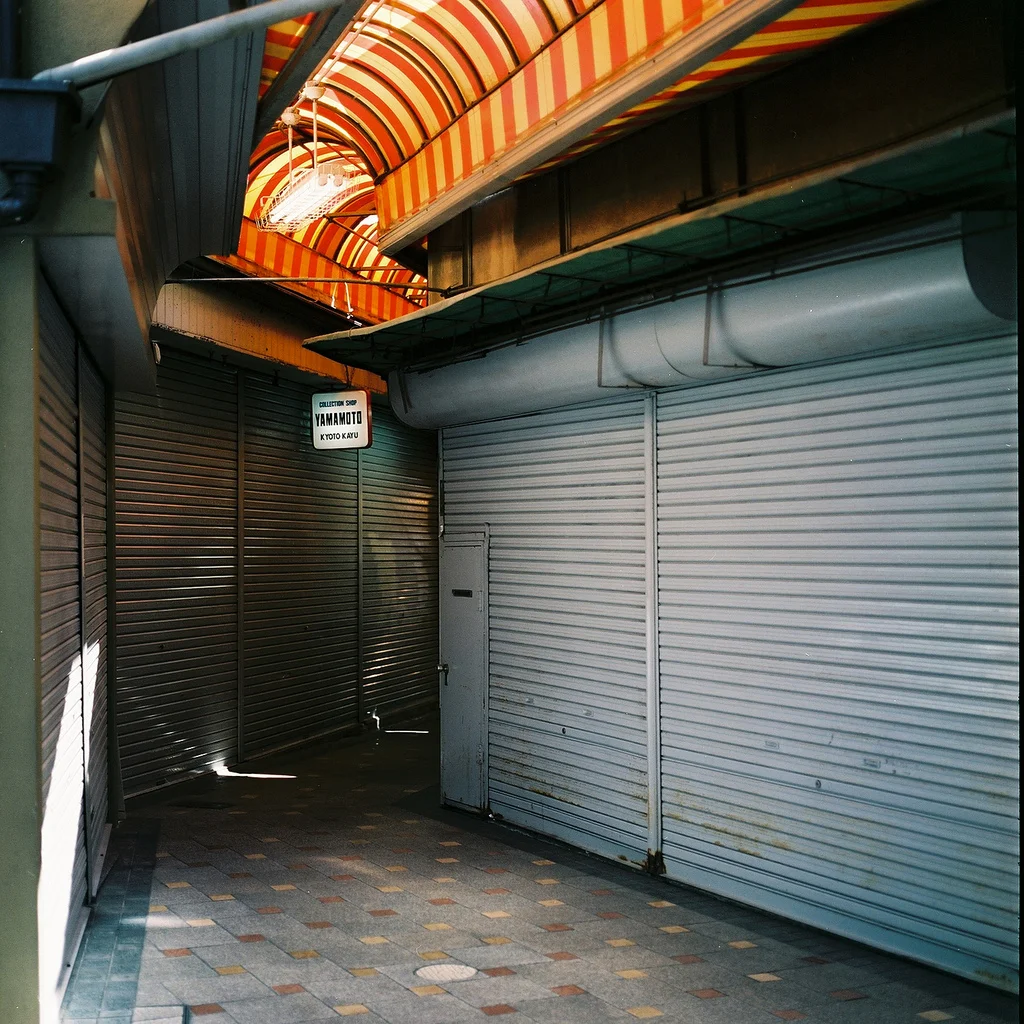 Teramachi-dori, Nakagyo-ku, Kyoto, Japan, 2012