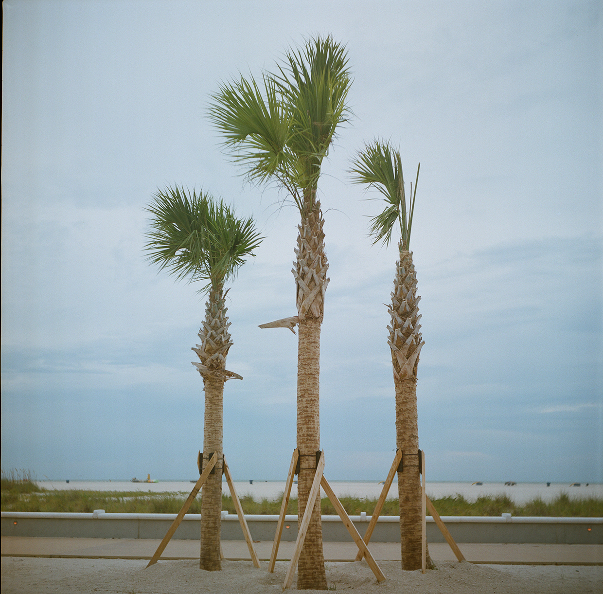  Treasure Island,  St. Petersburg, FL. July, 2014 