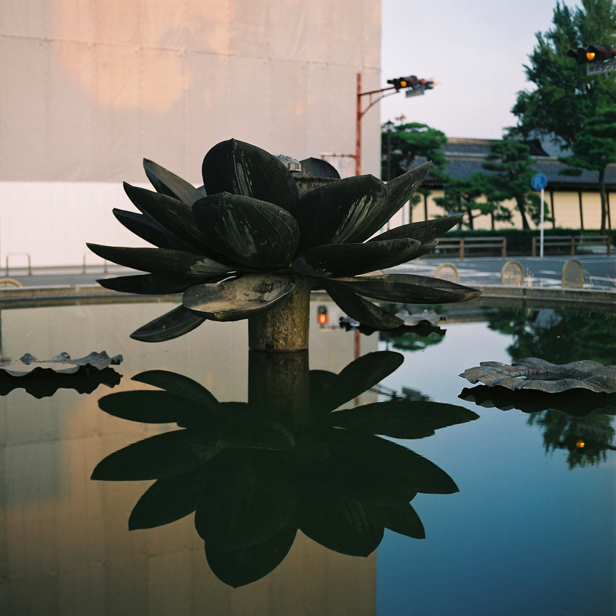  Lotus Fountain,  Higashi Honganji,  Shimogyo-ku,  Kyoto, Japan 2012 