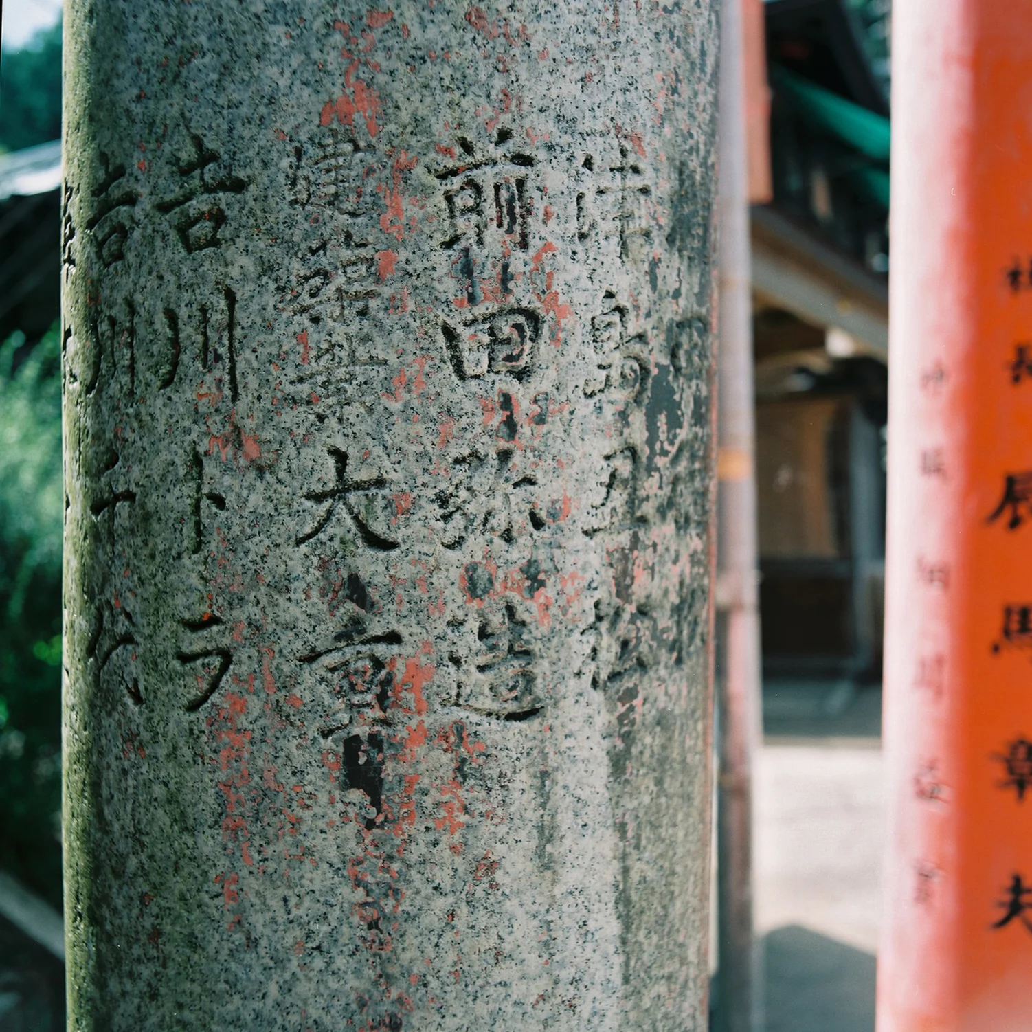 Torii, Fushimi Inari Taisha, Fushimi-ku, Kyoto, Japan, 2012