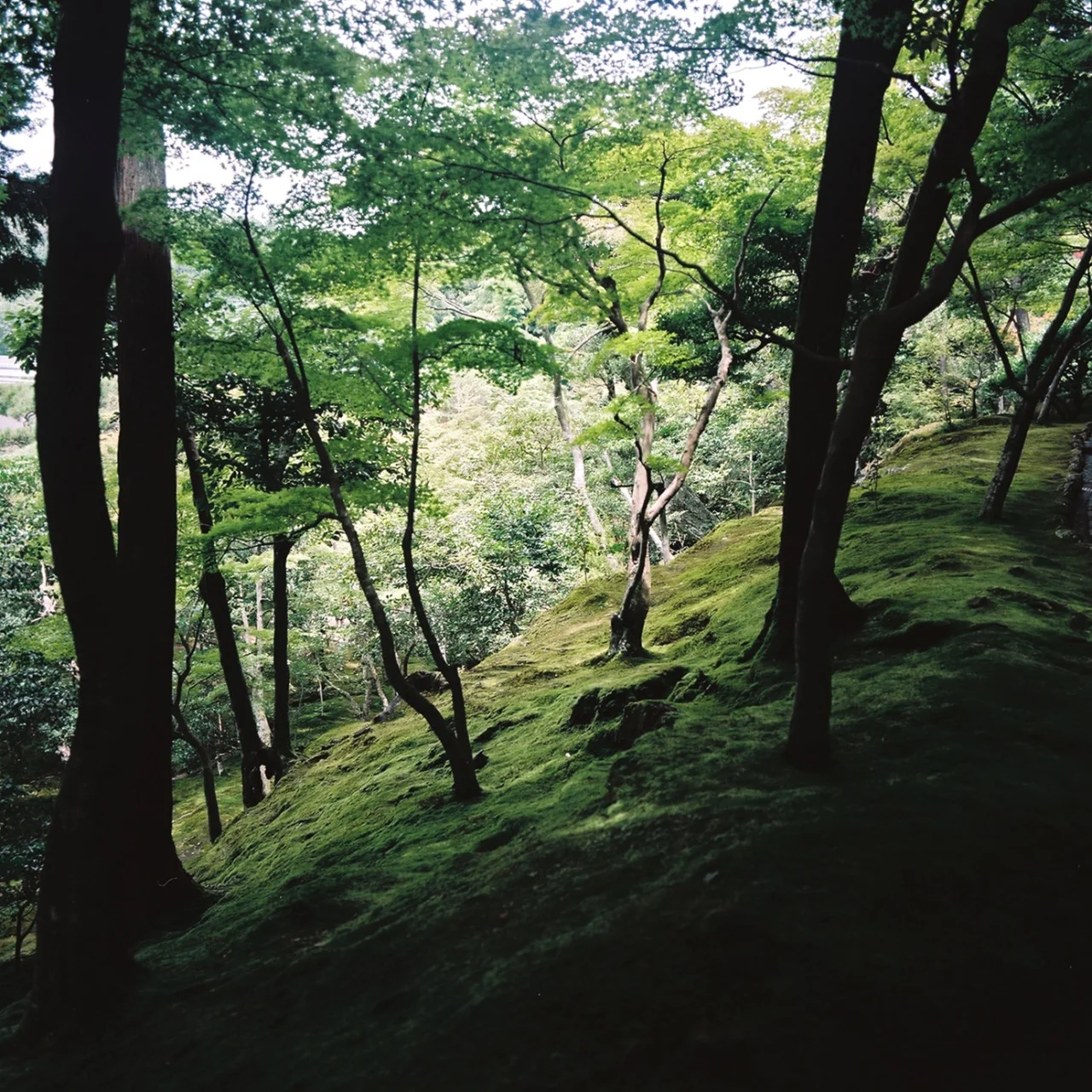 Ginkaku-ji, Sakyo-ku, Kyoto, Japan 2012