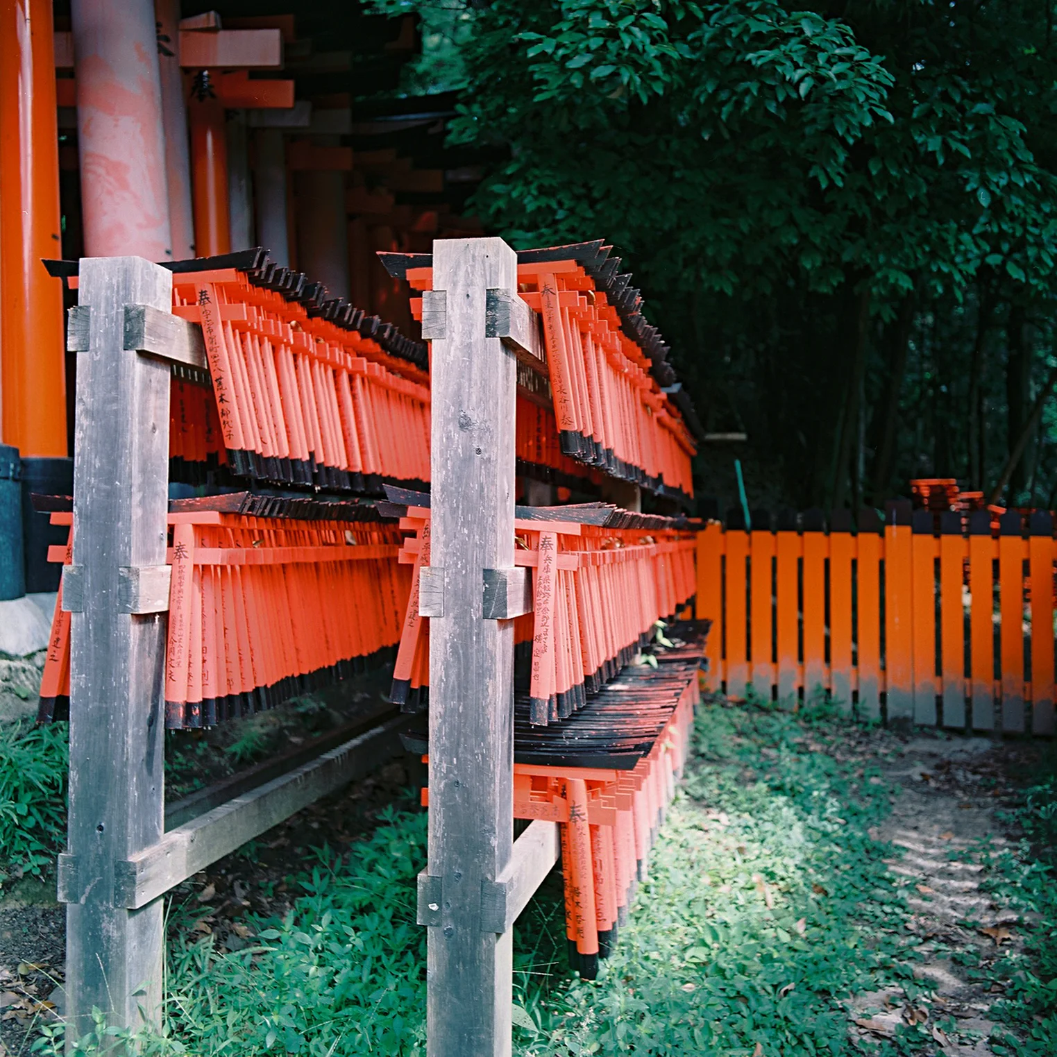 Fushimi Inari Taisha, Fushimi-ku, Kyoto, Japan, 2012
