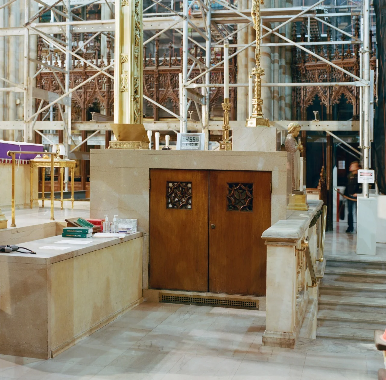 Cathedral of St. Patrick, New York City, 2014