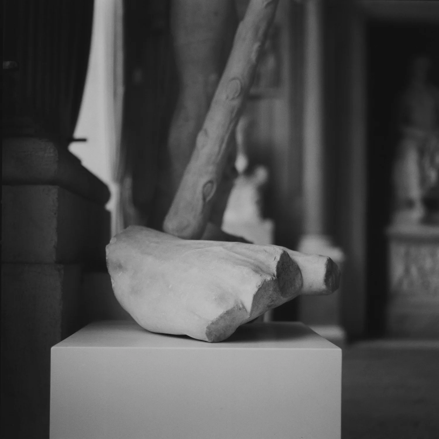 Galleria Borghese, Rome, 2015