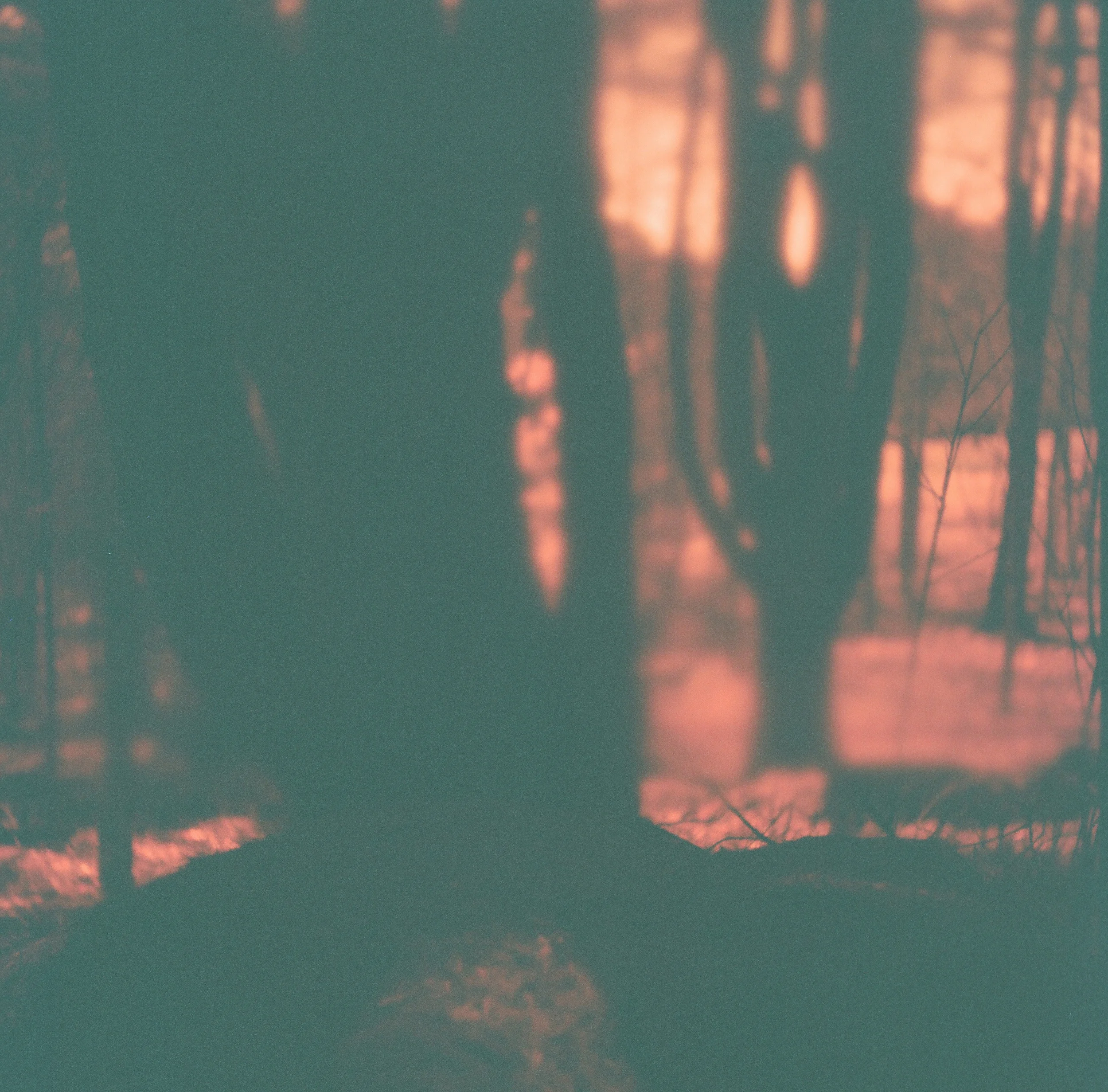 Accidental Redscale, Etna, NH, 2014