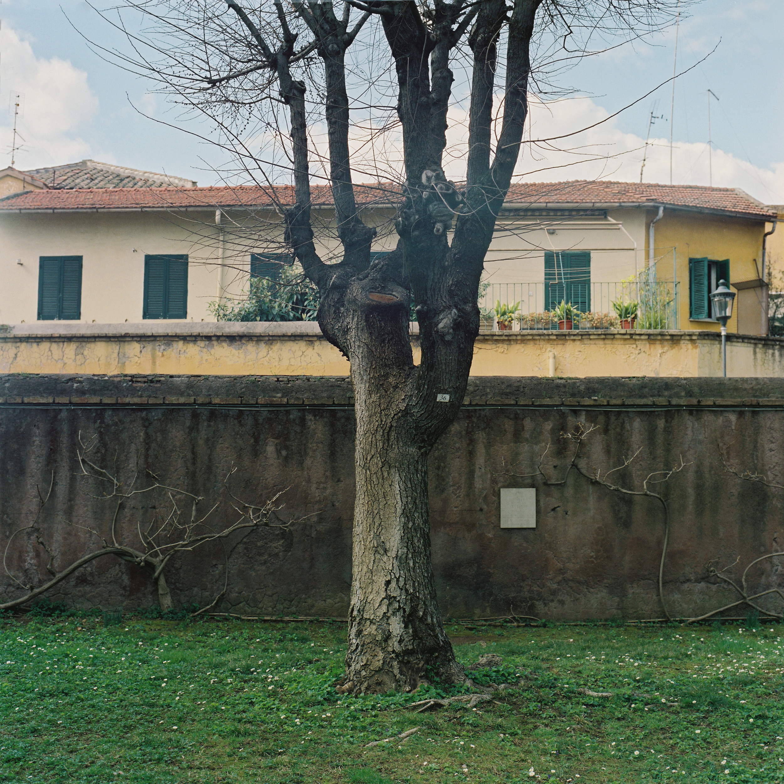 Cimitero Acattolico, Rome, 215