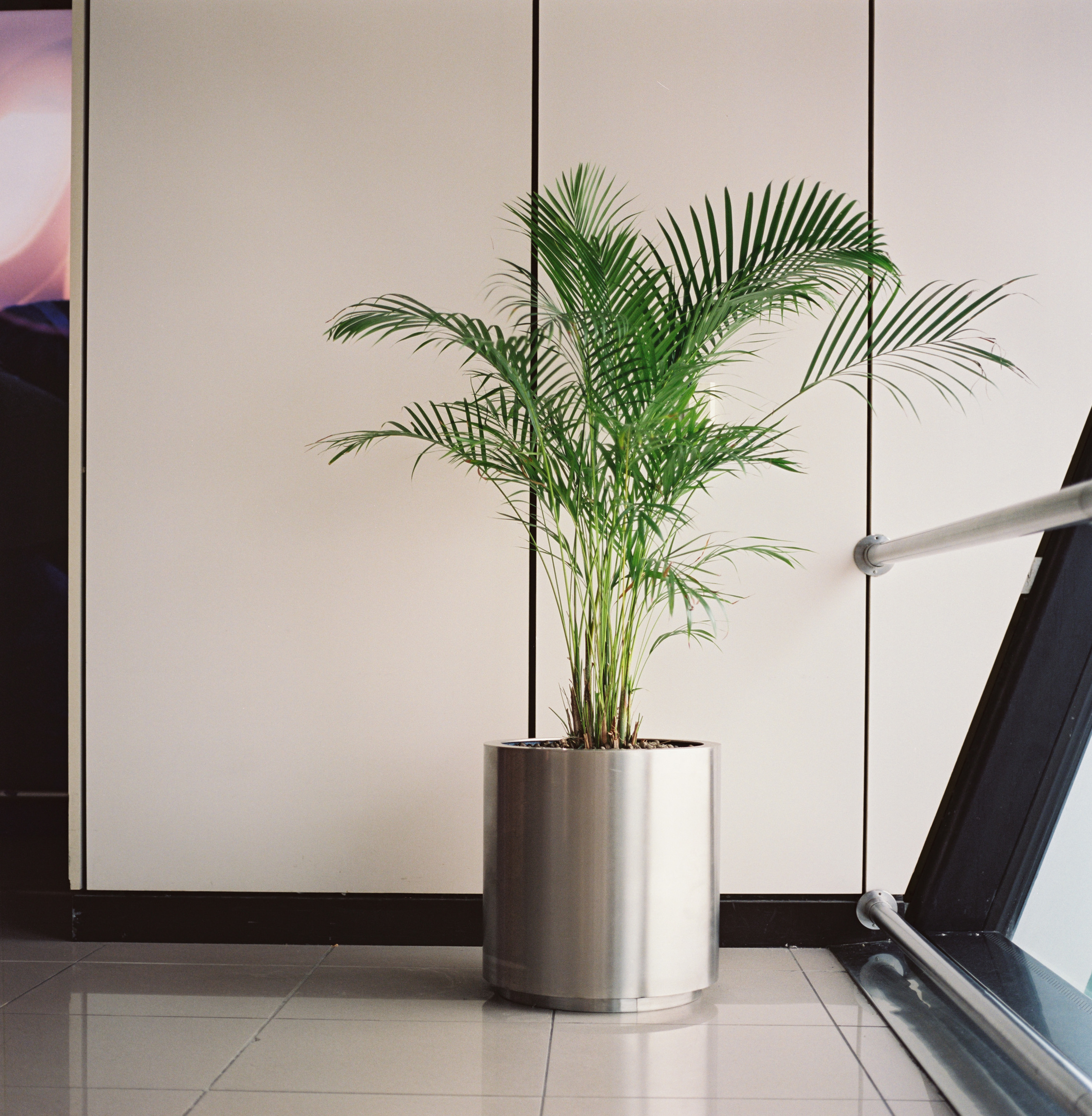 Fiumicino, Rome, 2015