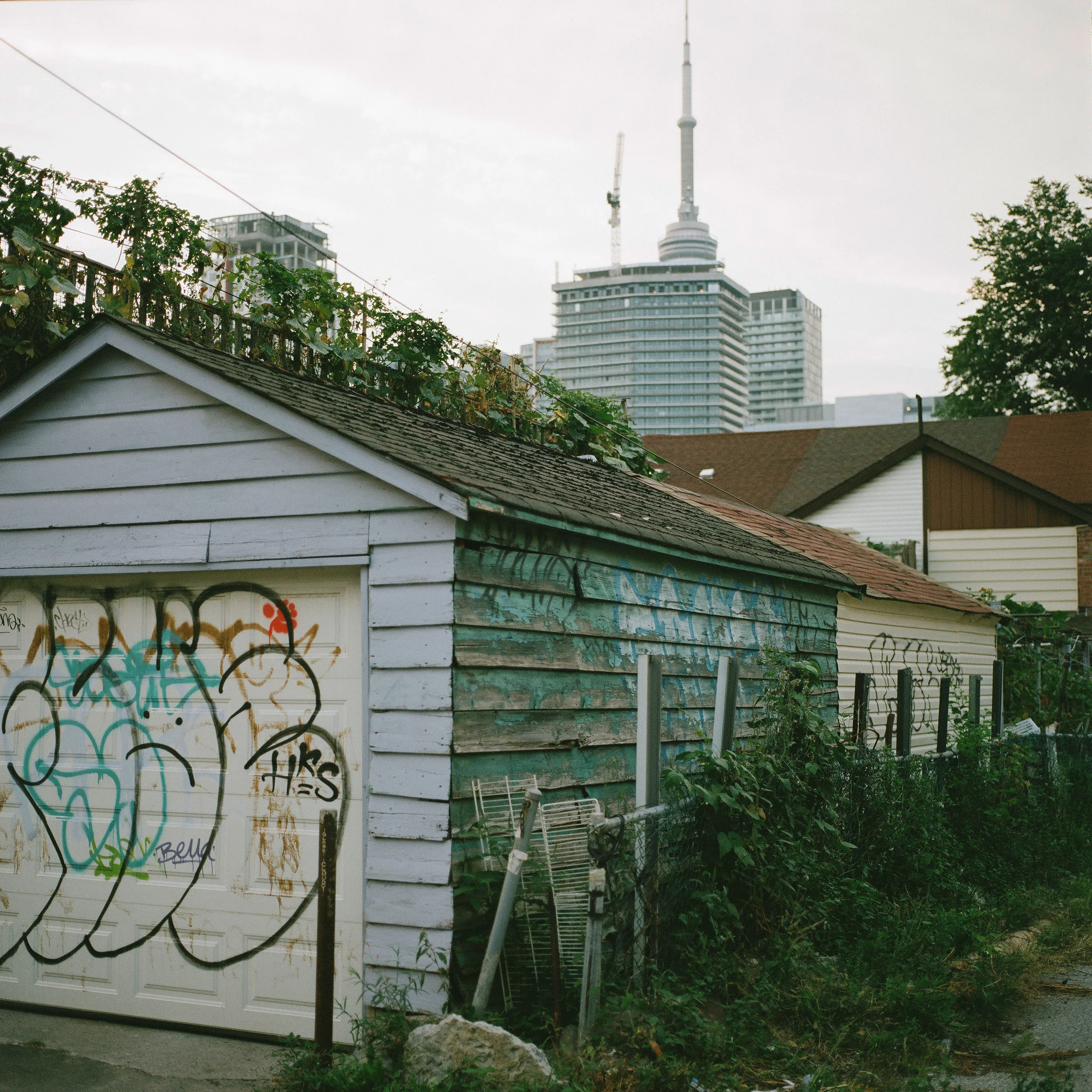 Orphanage Mews, Toronto, Ontario, Canada, 2015