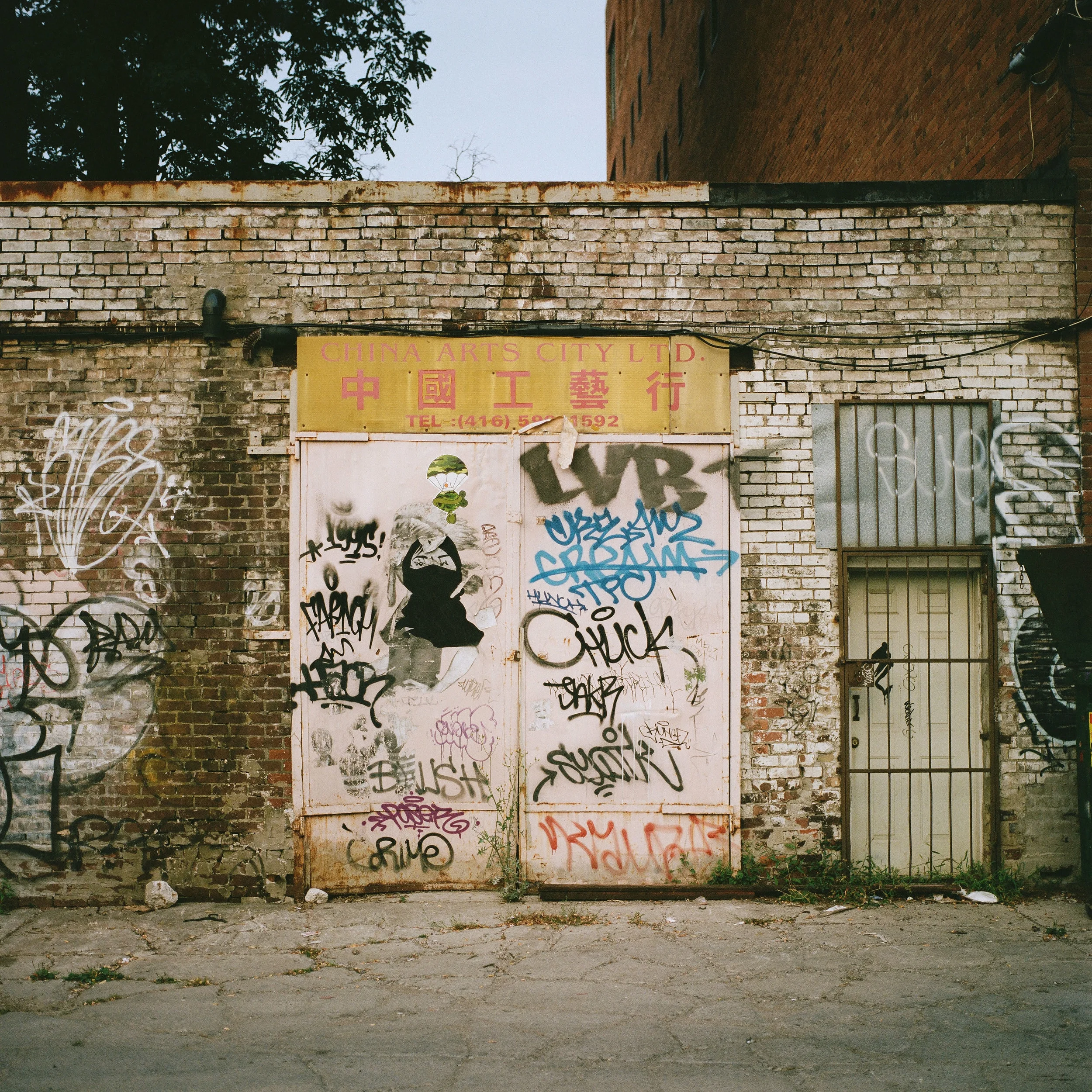 Chinatown, Toronto, Ontario, 2015