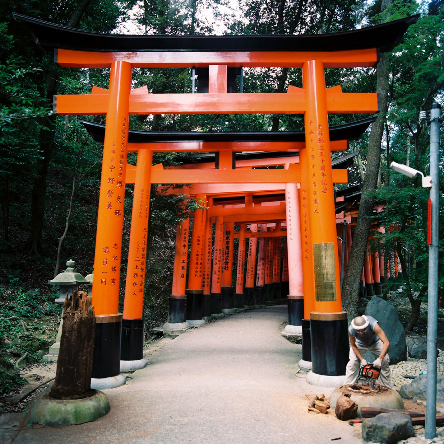  New Torii,  Fushimi Inari Taisha,  Fushimi-ku,  Kyoto, Japan 2012 