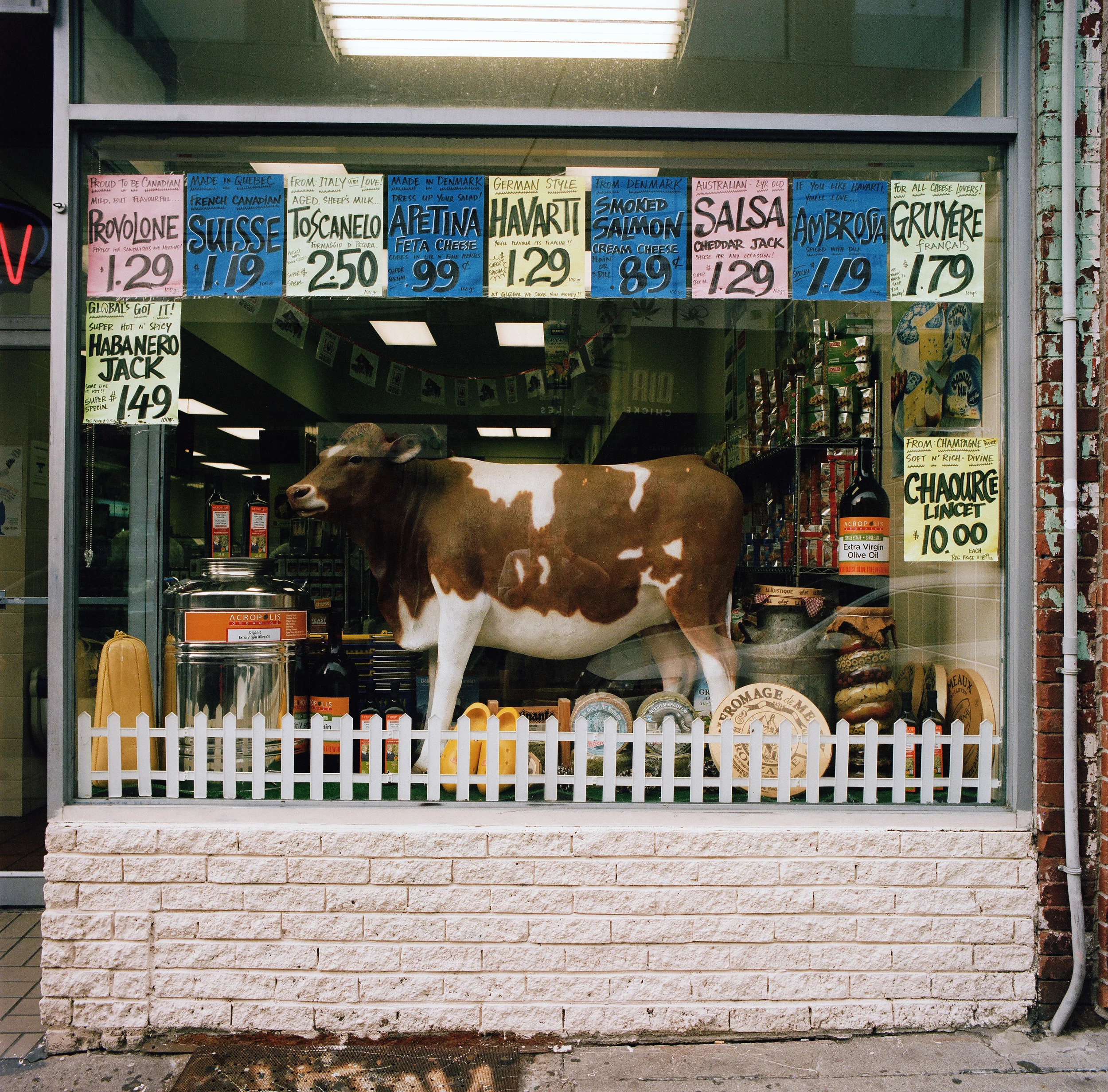 Kensington Street, Toronto, Ontario, Canada, 2015