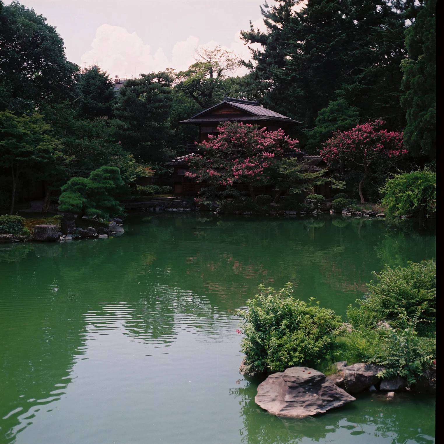 Kyoto Gyoen, Kamigyo-ku, Kyoto, Japan, 2012