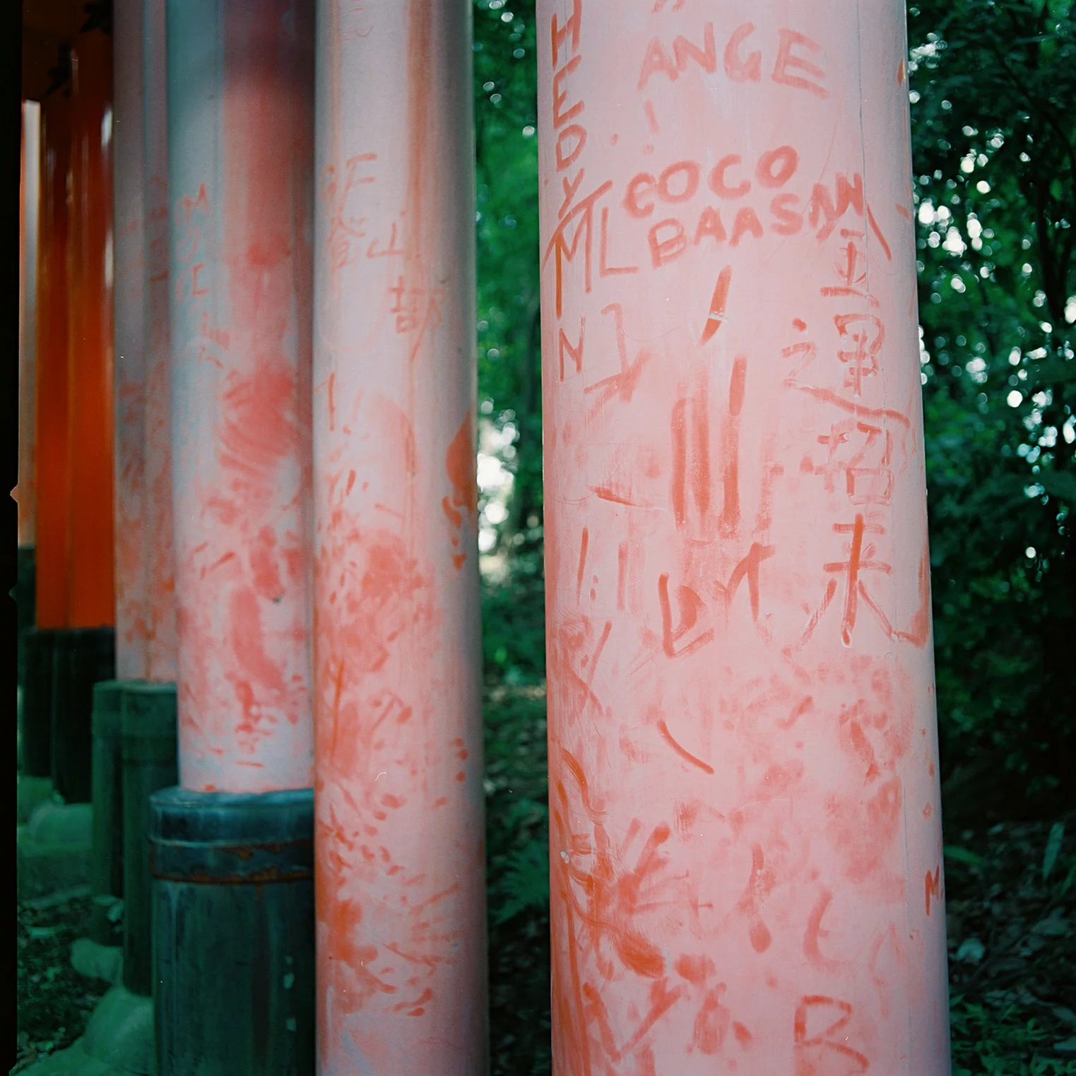 Fushimi Inari Taisha, Fushimi-ku, Kyoto, Japan, 2012