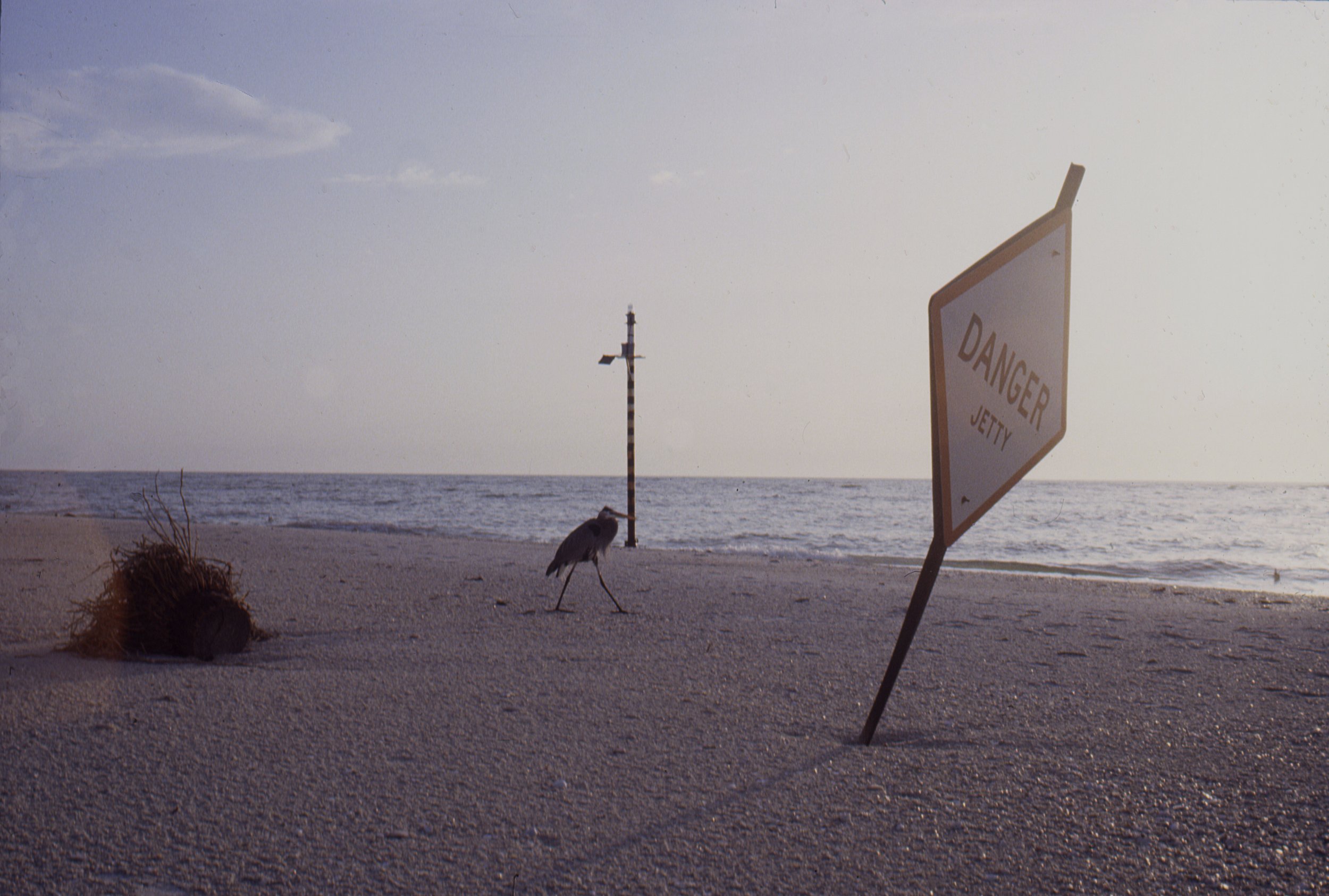  Coney Island, February 1982 