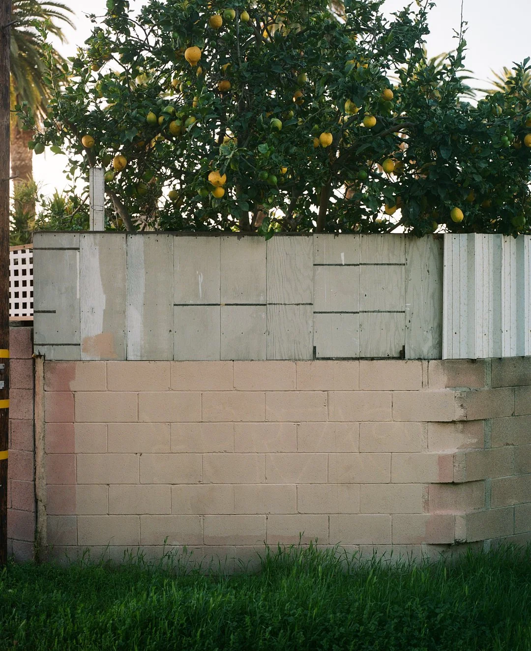 LA Culver City 2020 18.jpg