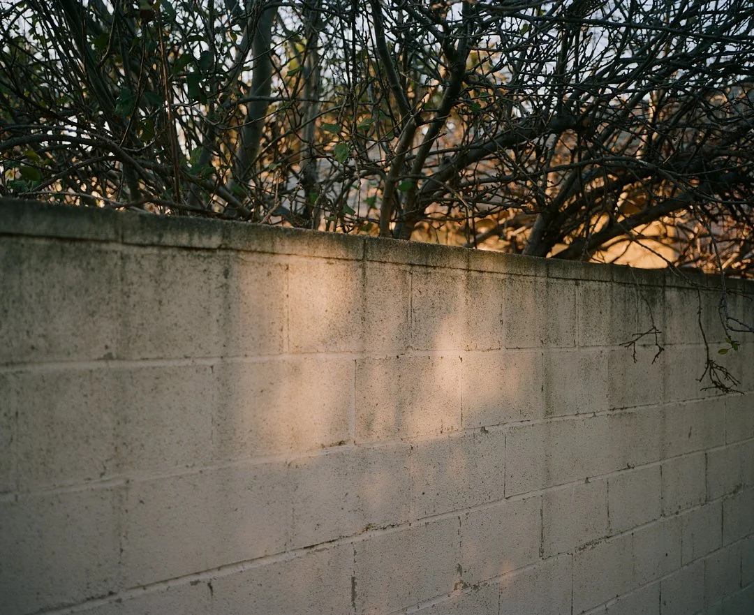 LA Culver City 2020 23.jpg