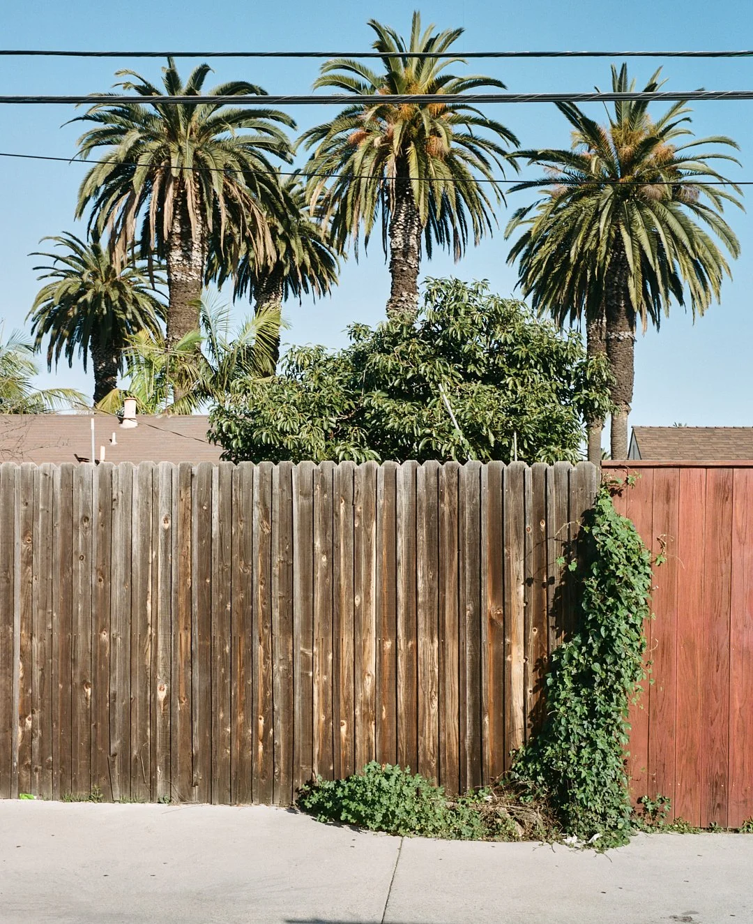  Culver City, 2020 