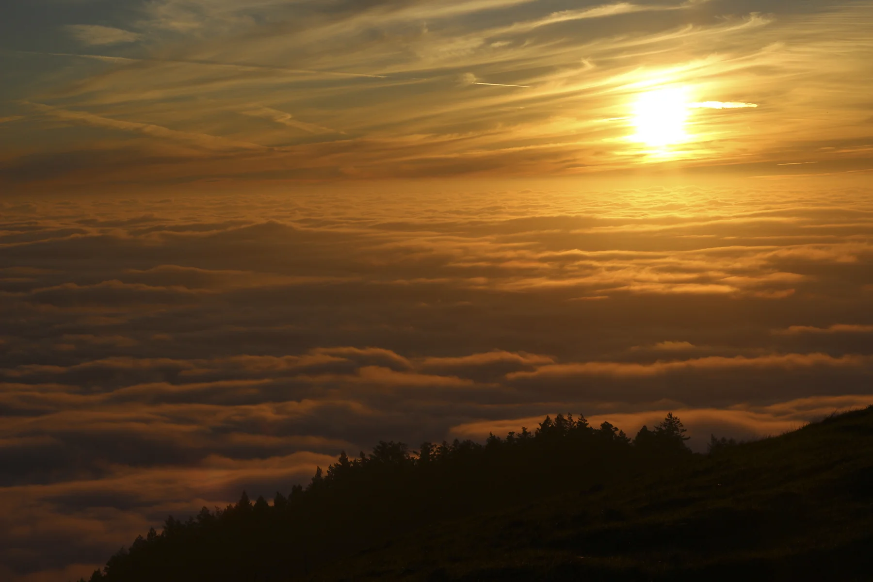 Mount Tamalpais in Marin County, California.