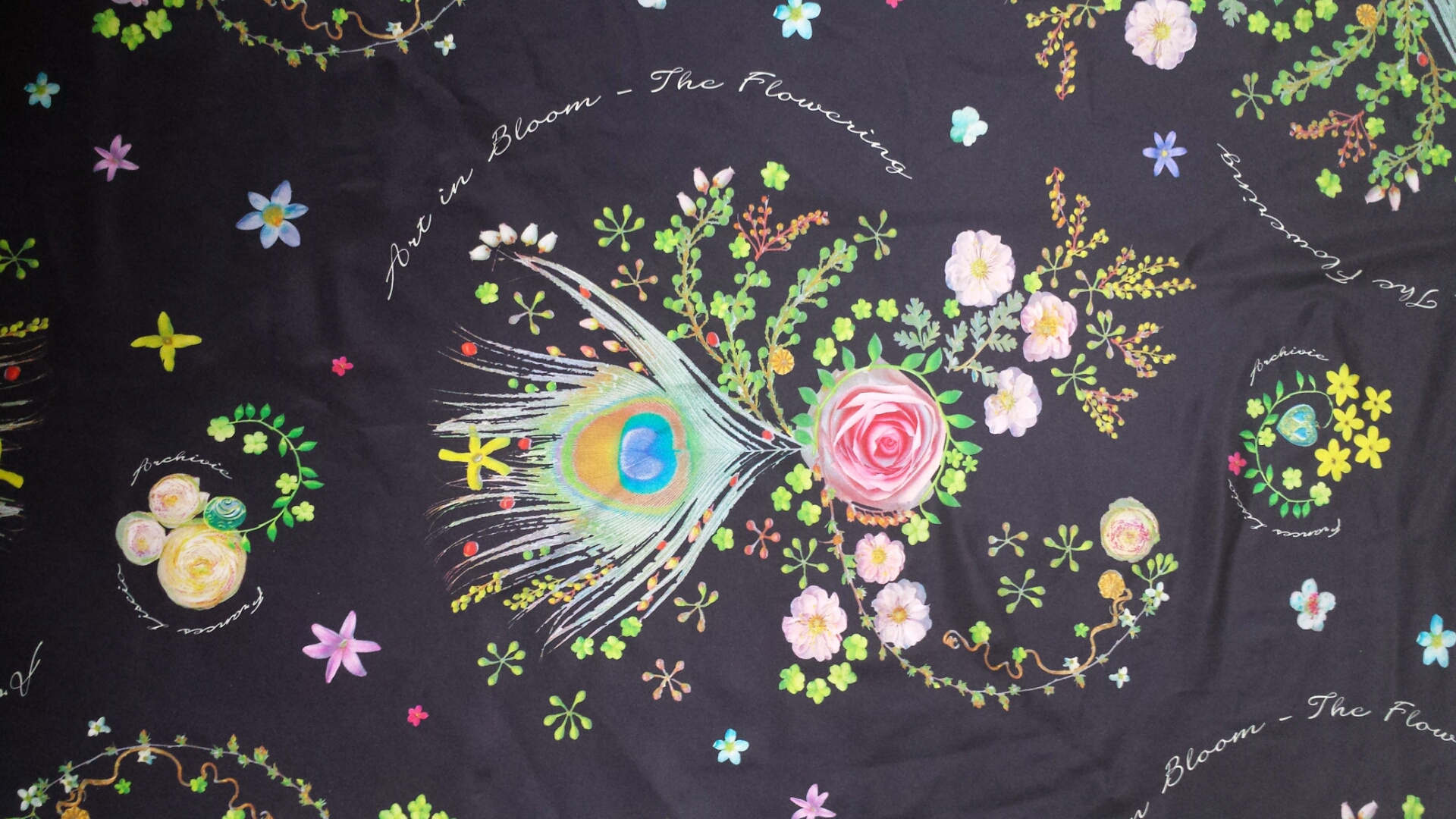 2016-05-12 17.45.17.jpg