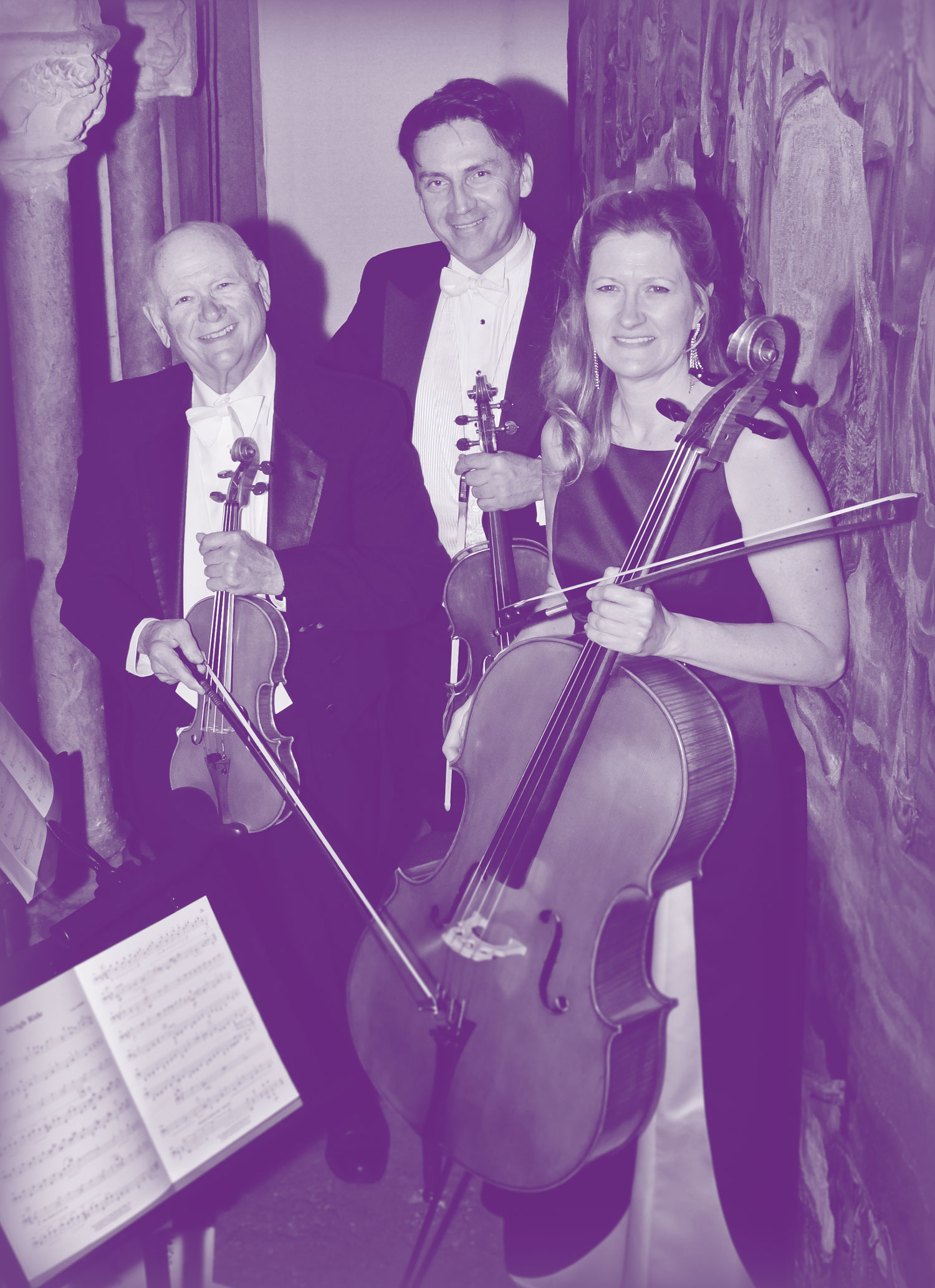 hearst-trio-violin-cello-strings-purple.jpg