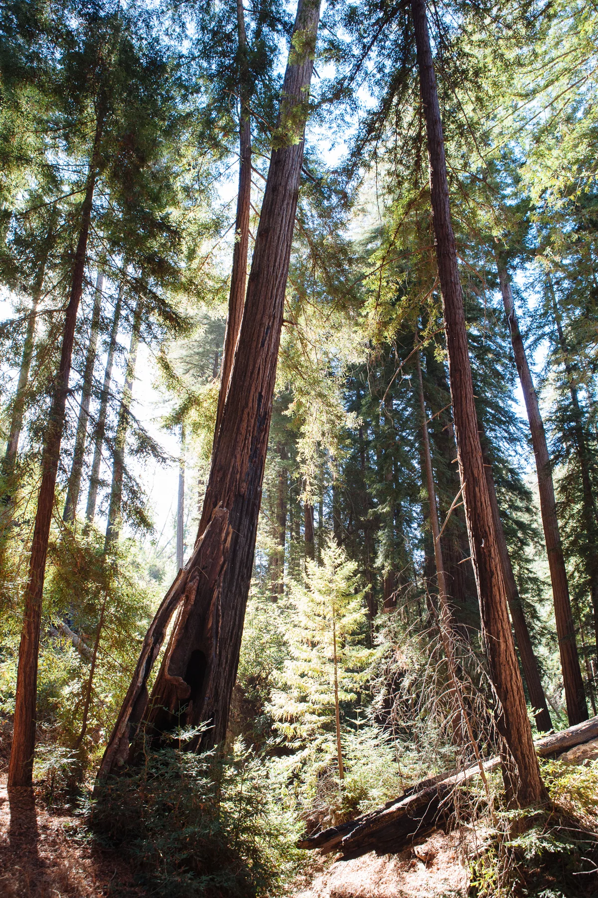_MG_0427.jpg