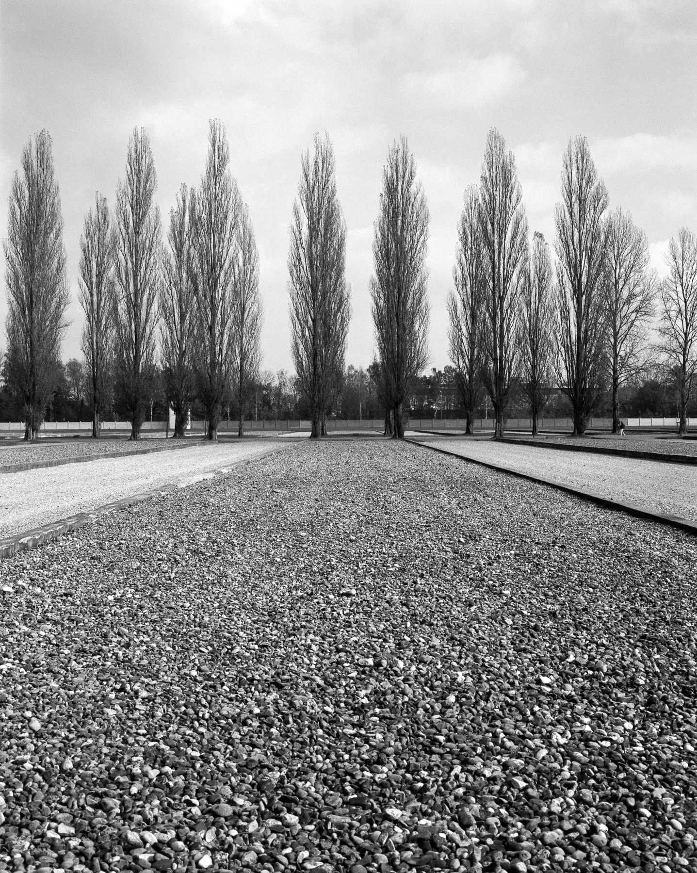 Germany018-Edit-2.jpg