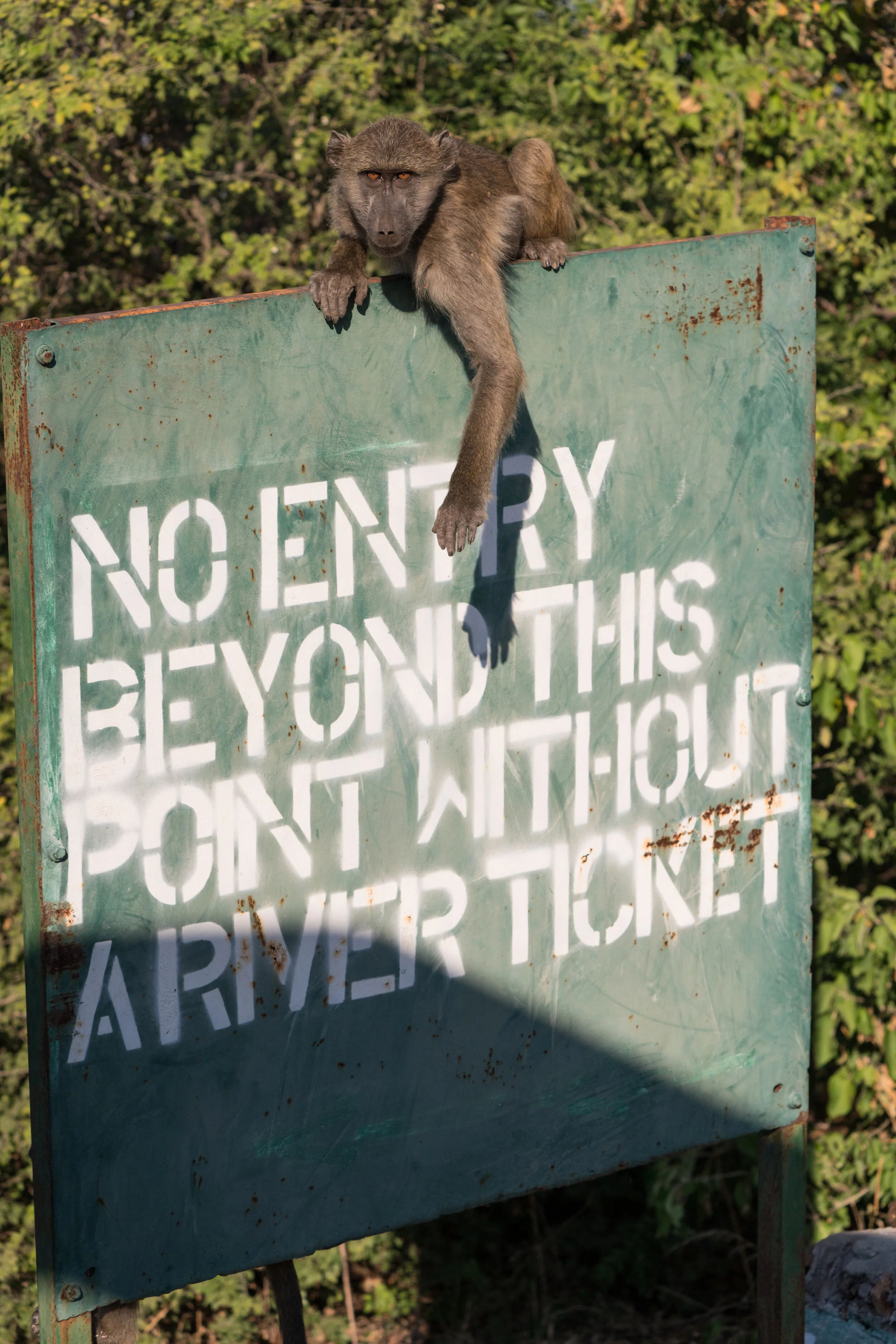 AFRICA-27.jpg
