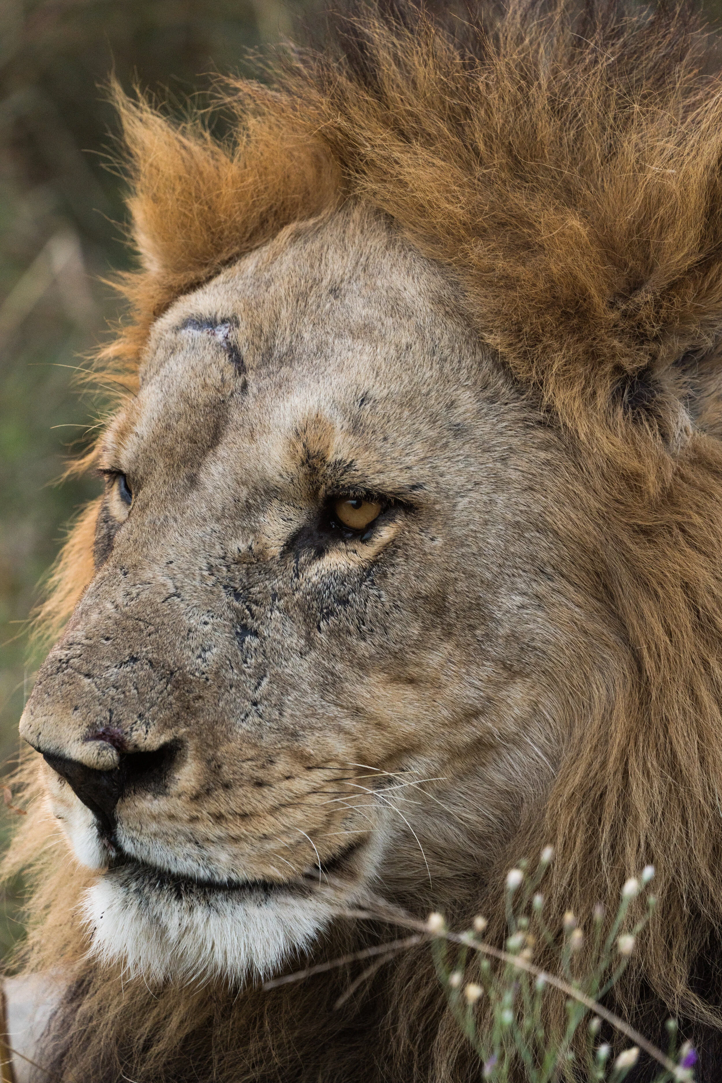 AFRICA-60.jpg