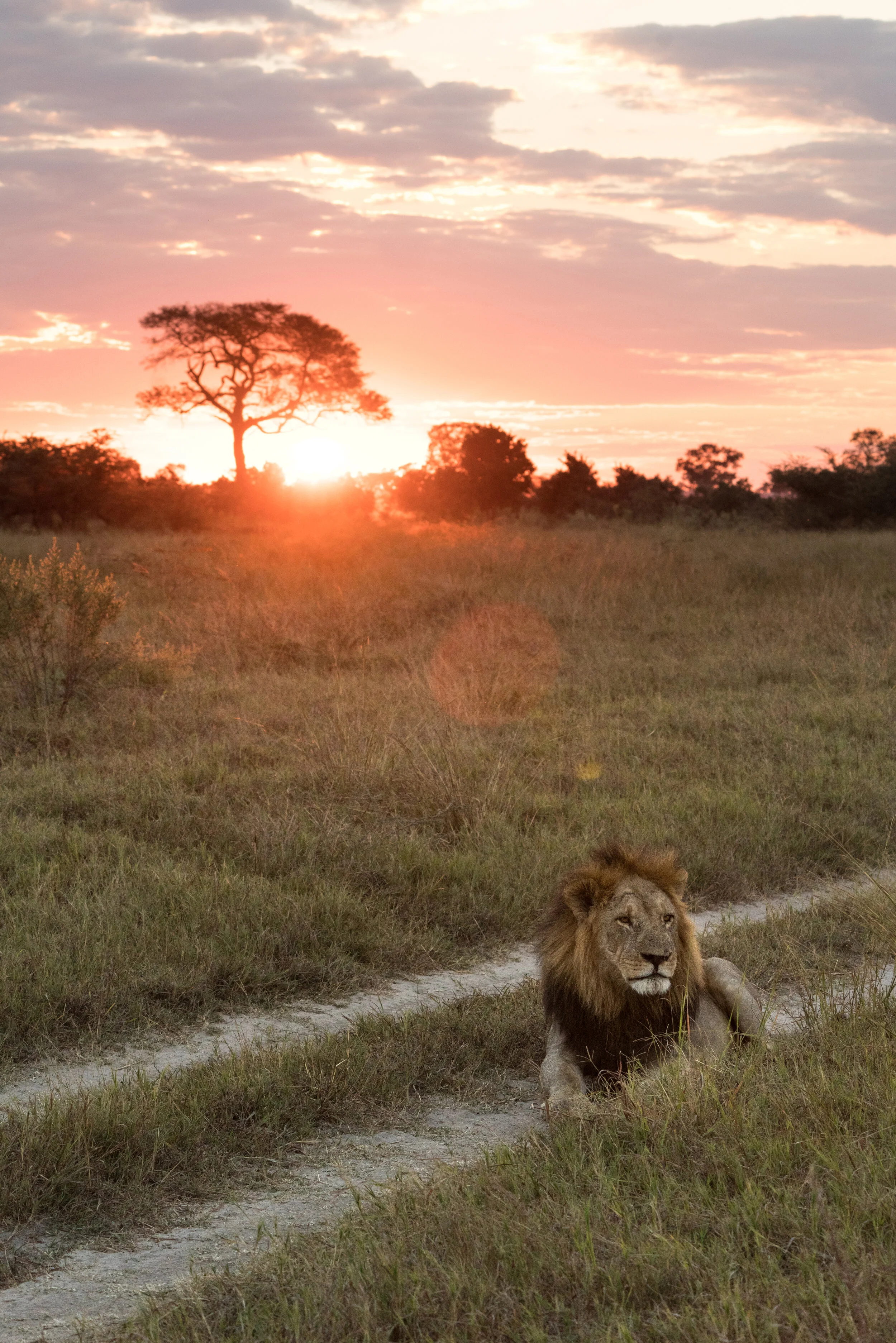 AFRICA-66.jpg