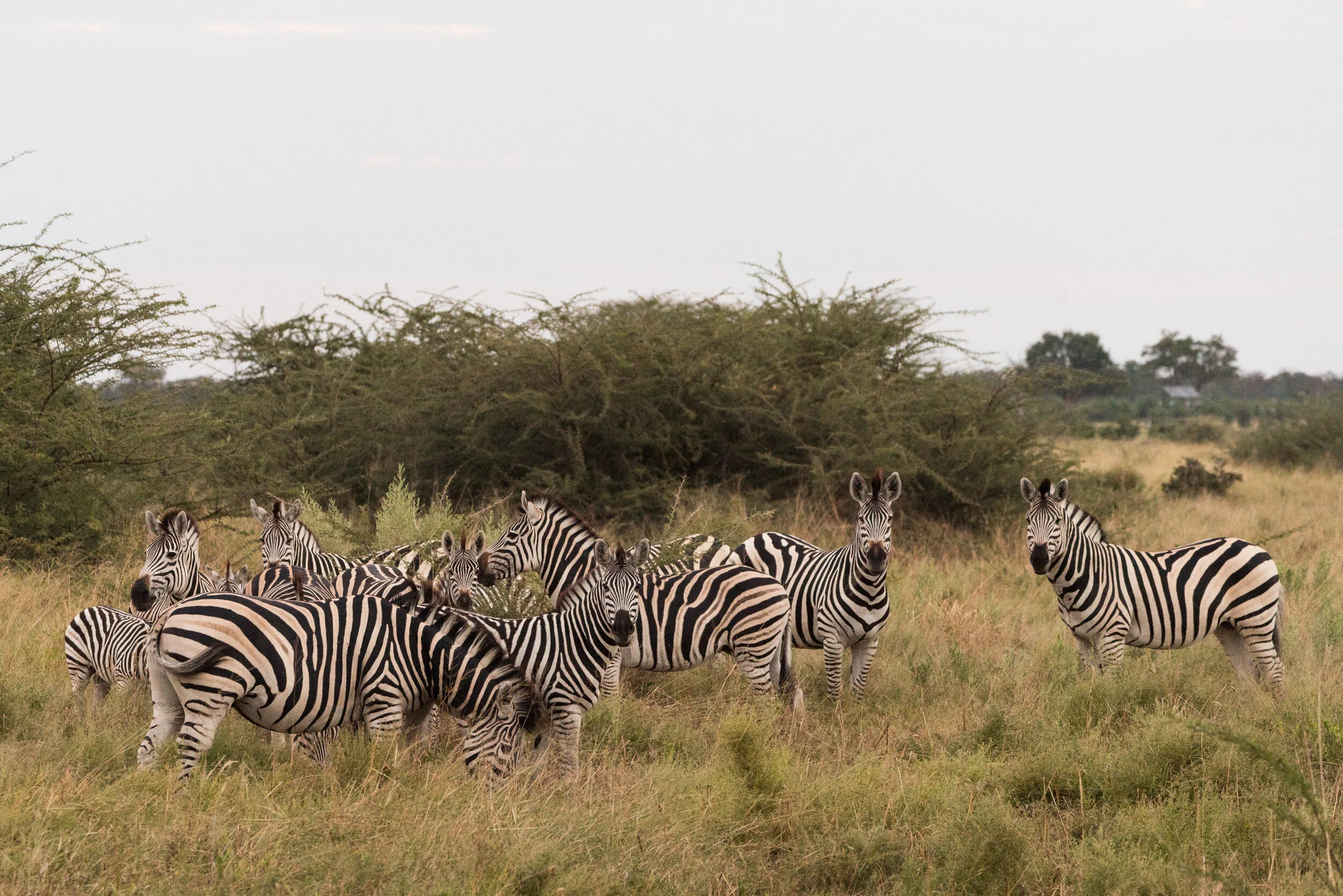 AFRICA-67.jpg