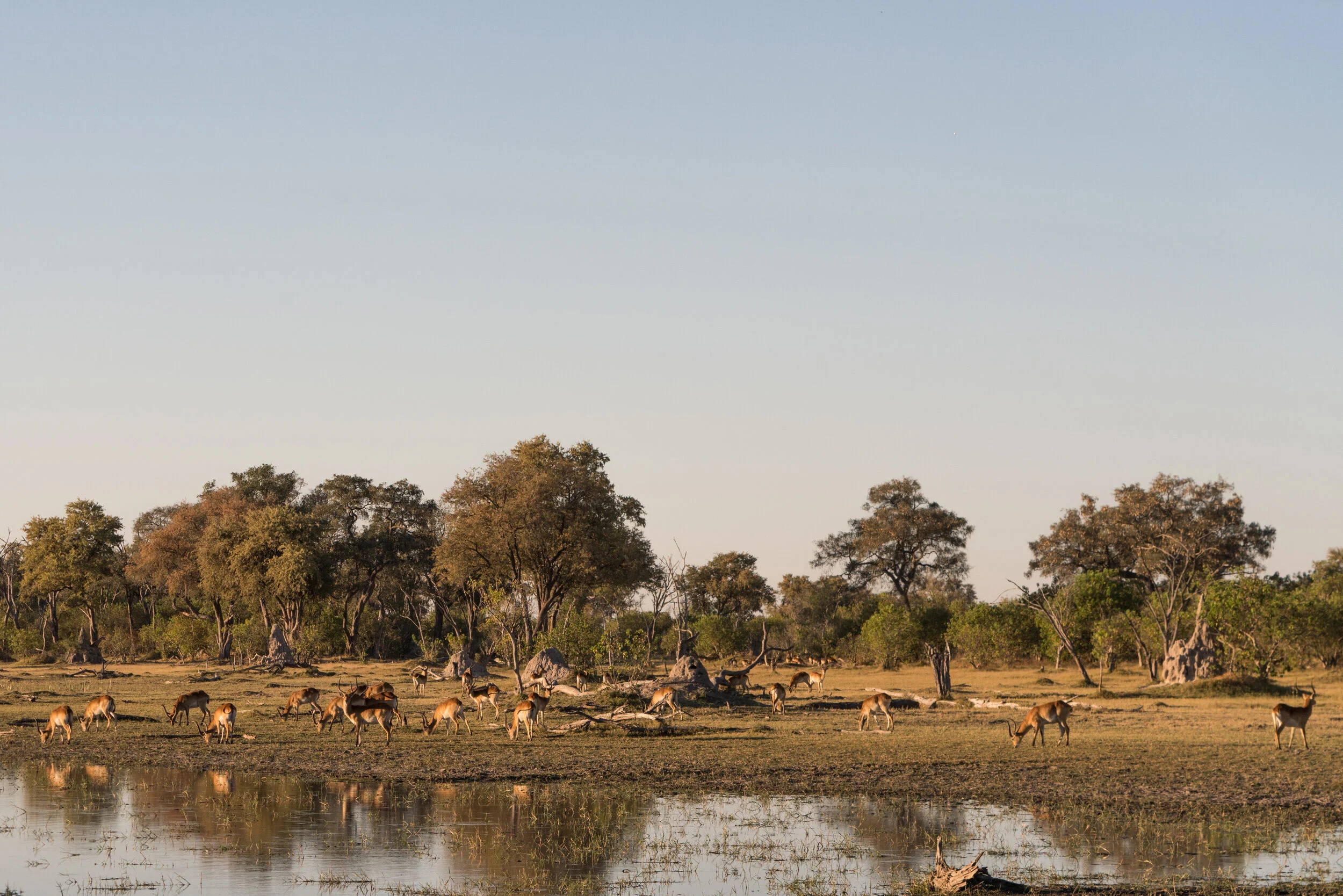 AFRICA-87.jpg