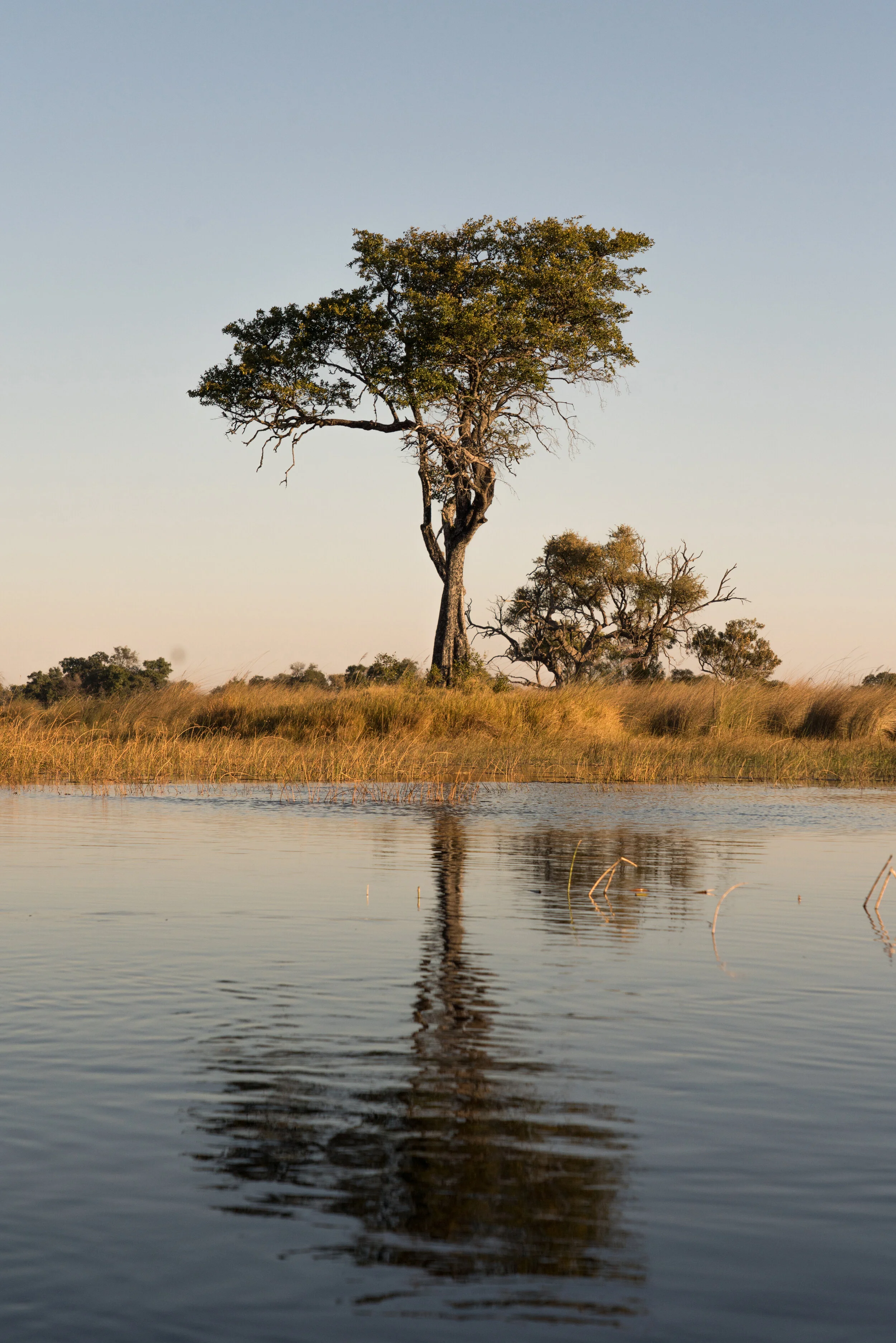 AFRICA-146.jpg