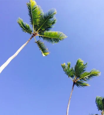 The #GirlBoss’ Guide to a Relaxing Summer