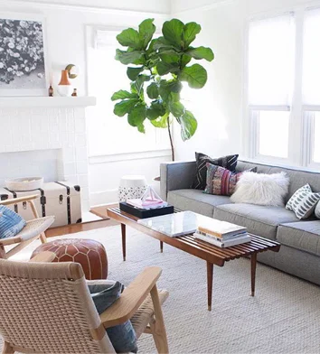 New Year, New You With Dot & Bo!