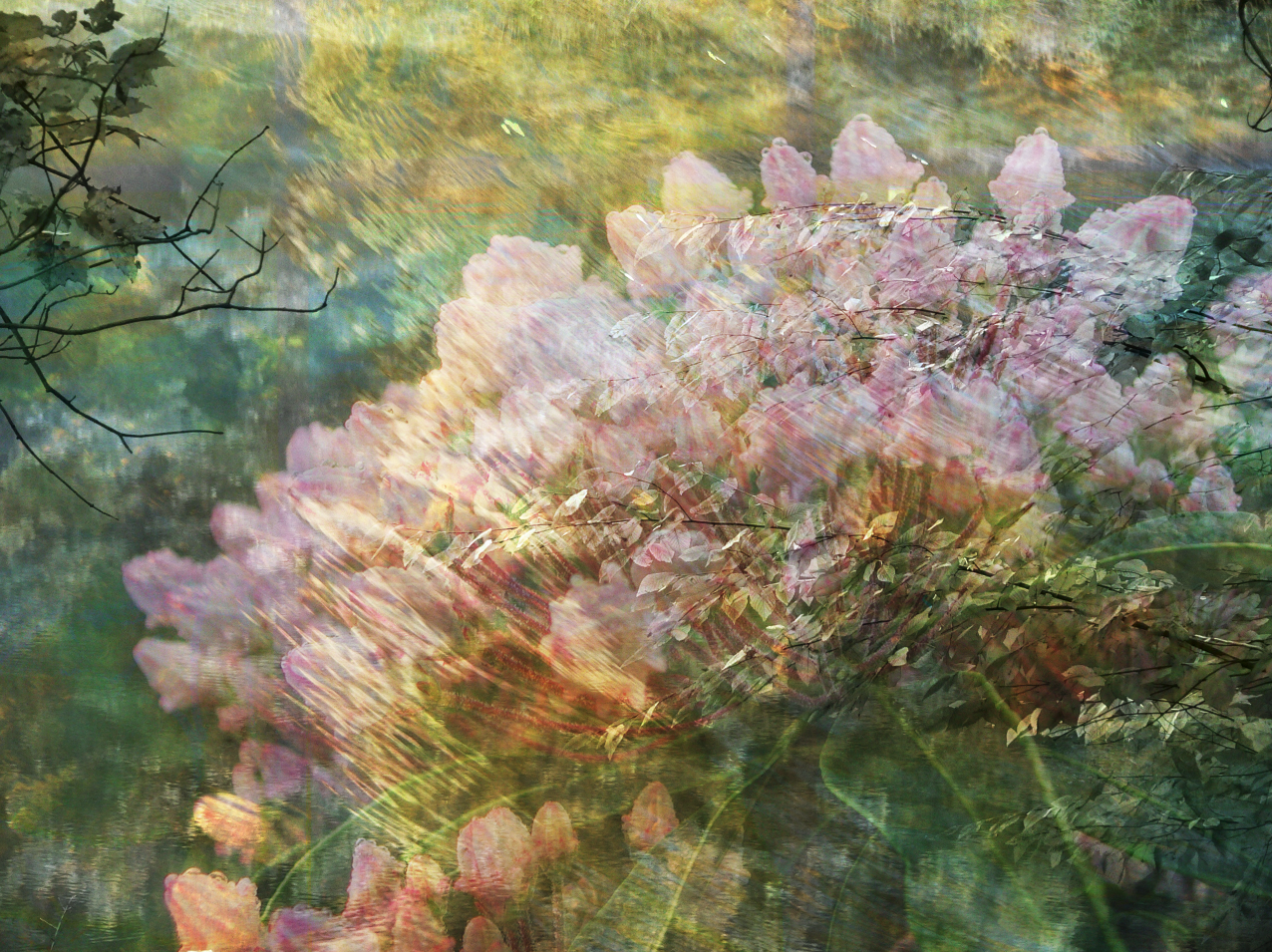 Screen shot 2011-09-11 at 1.22.46 PM.png