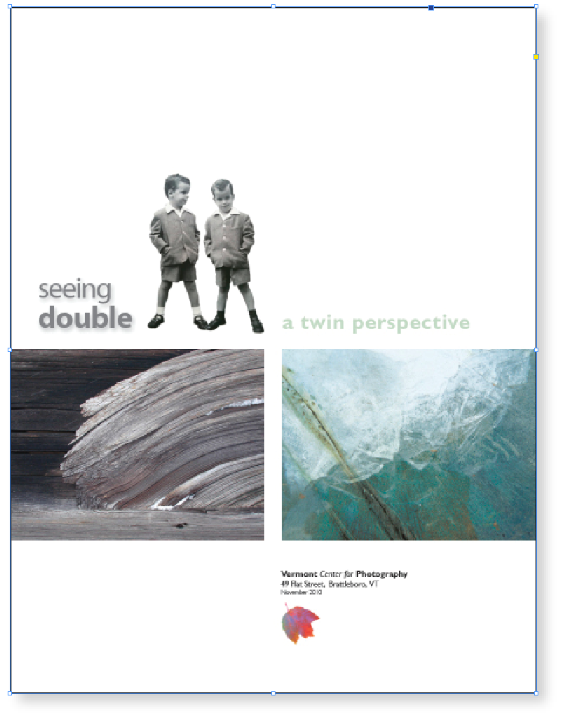 Seeing Double- 2010 Photo Show catalog