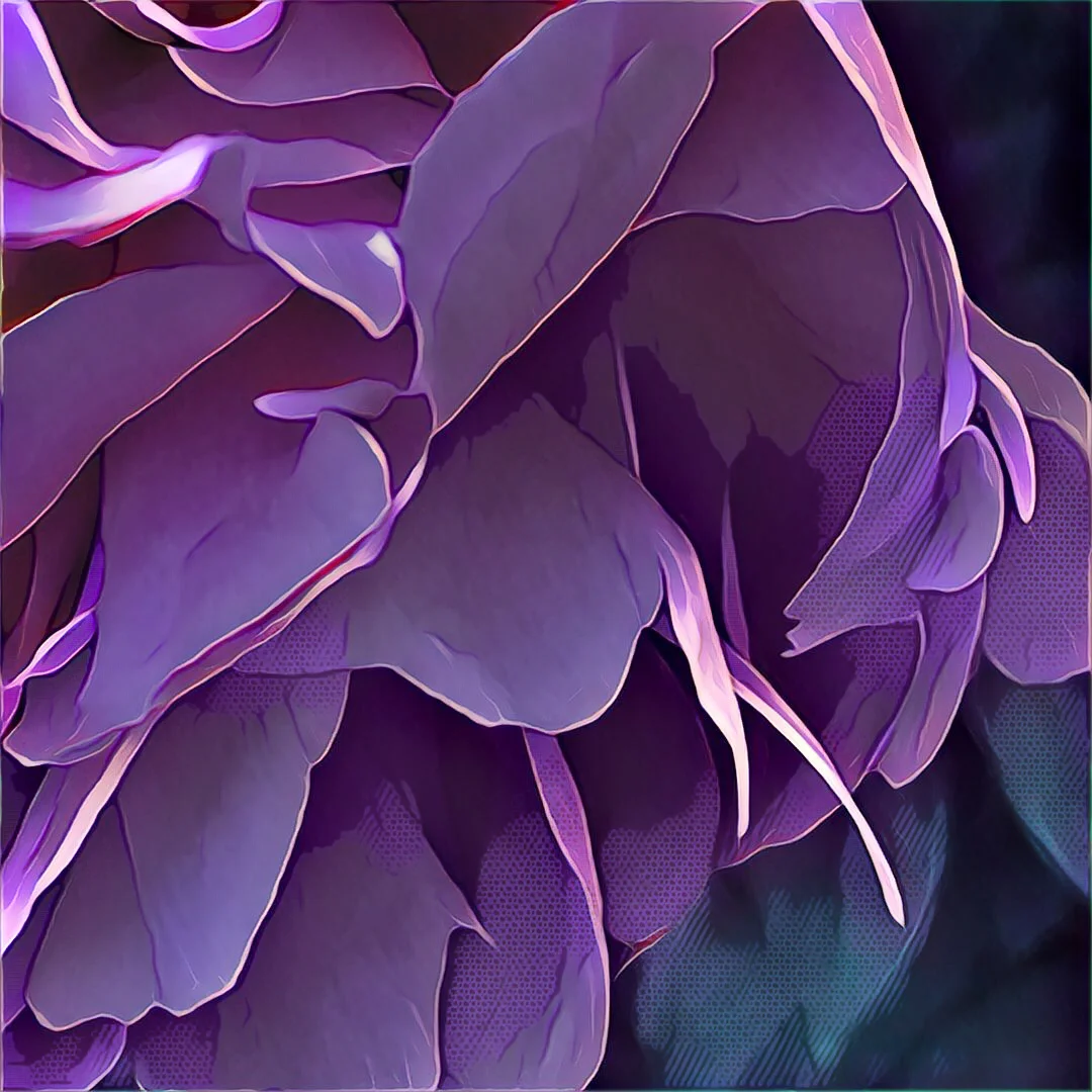 peony 3.jpg