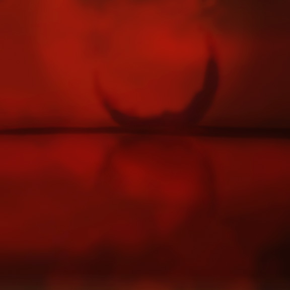 RAIDO_small.jpg