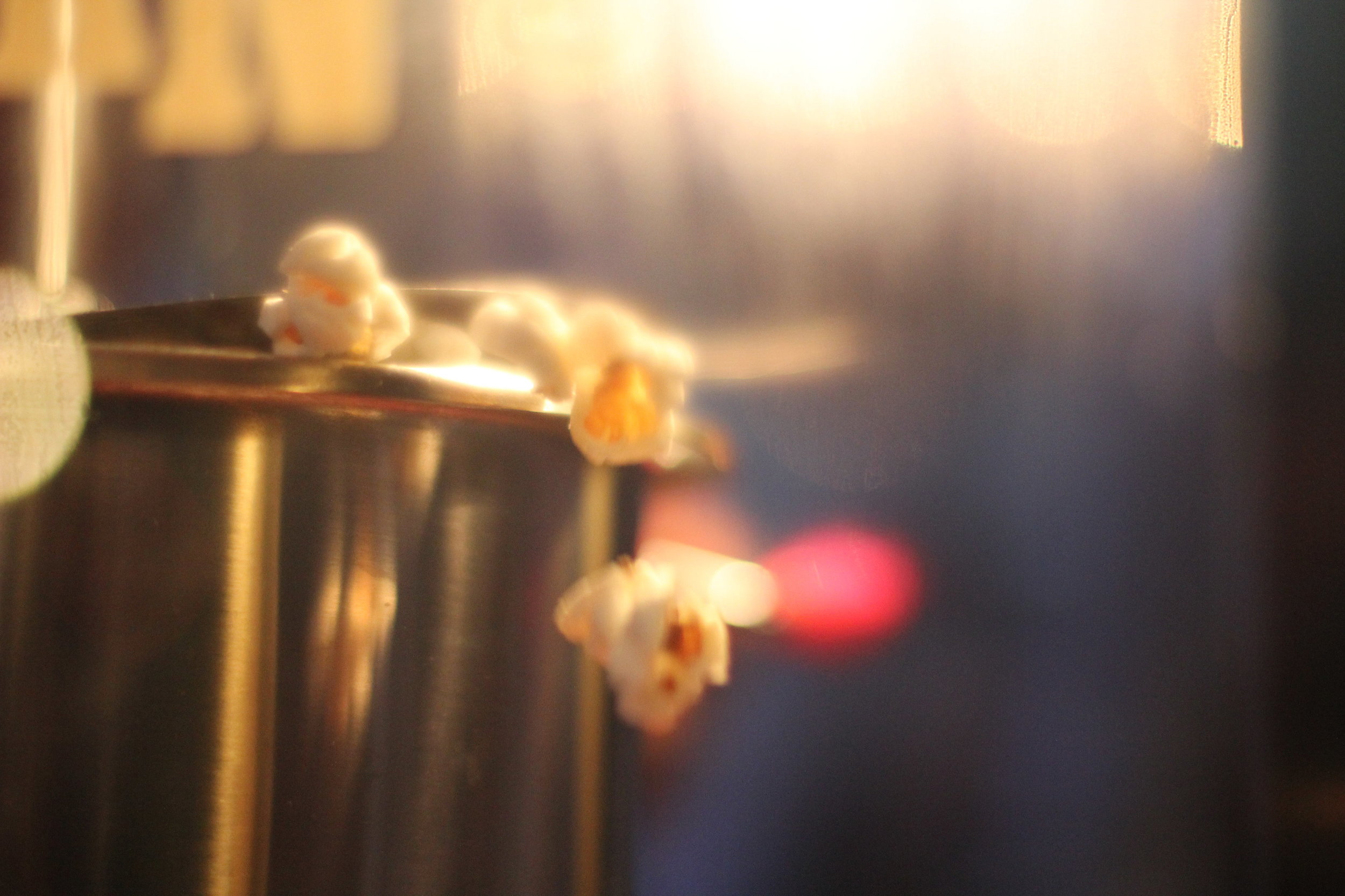 Popcorn. Photo: Roxy Rodriguez Photography