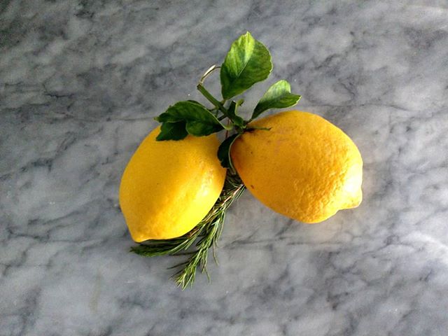 Lemon &amp; Rosemary.
What will you become together? 
Got these lil guys from different colleagues at work😊

#lemon #rosemary #seasonal #simple #spring #summer #homegrown #madewithlove #supersourlemons #food #foodography #photo #fruit #herb #tart #s