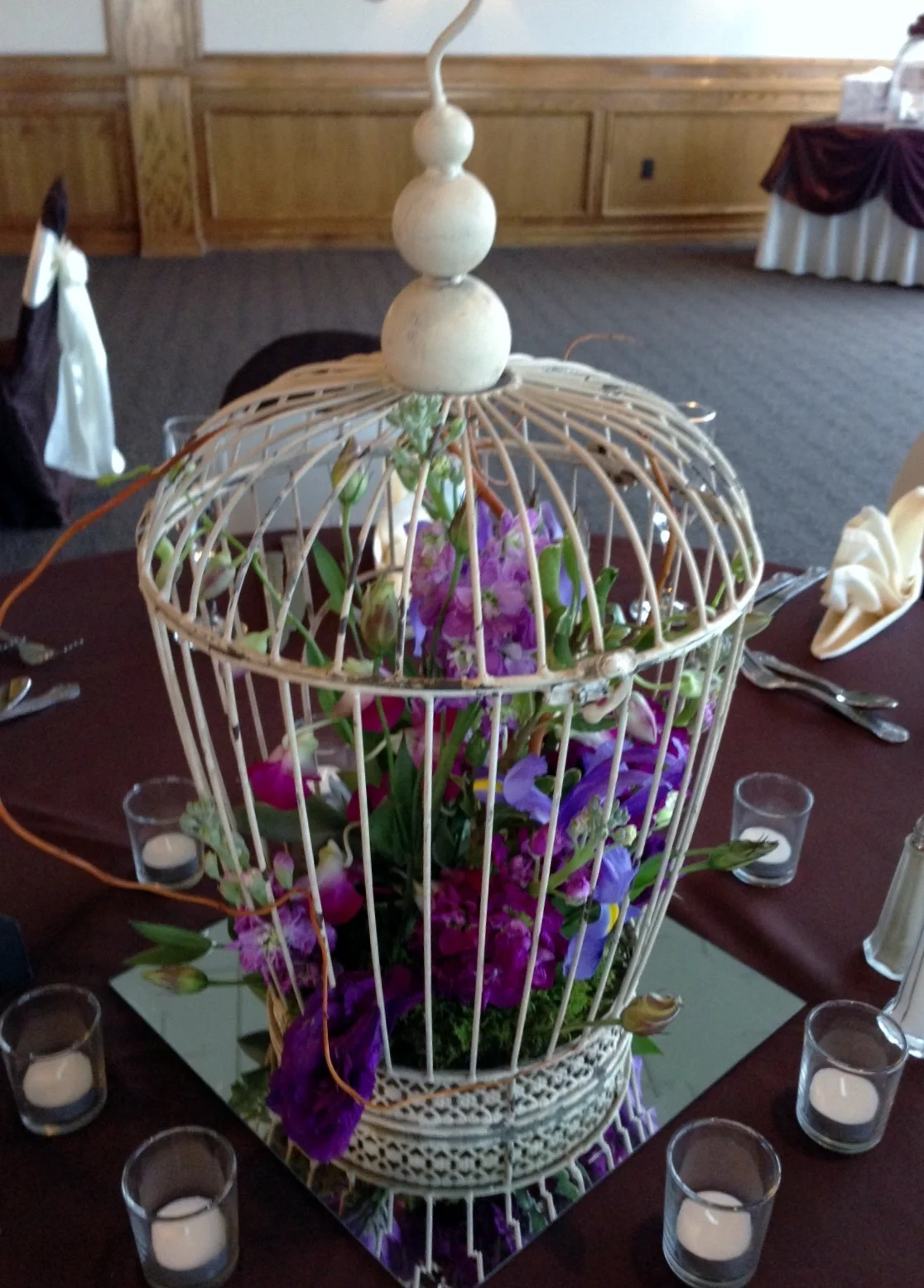 bird cage.jpg