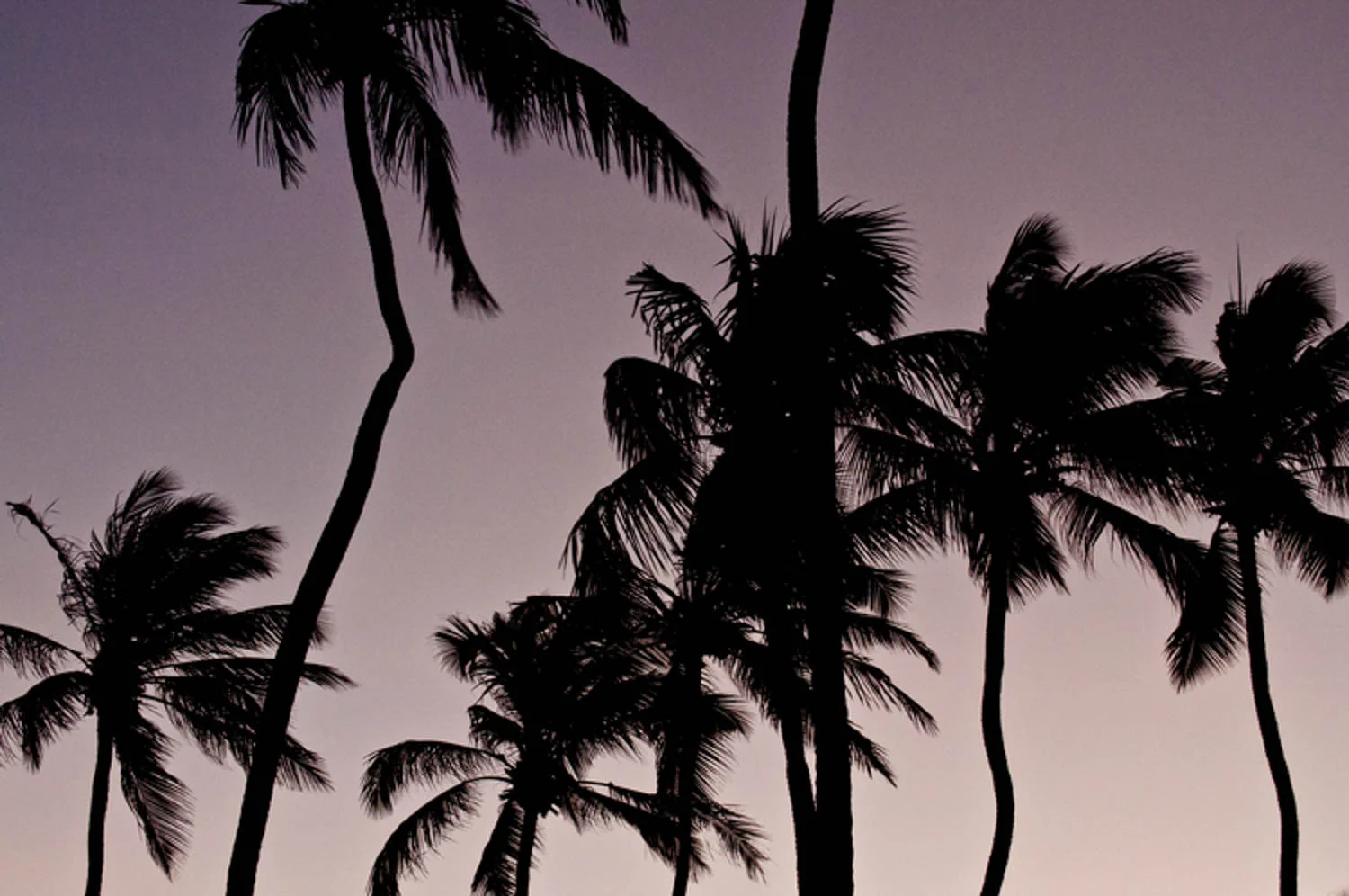Fenwick Photo Arts-Travel-95.jpg