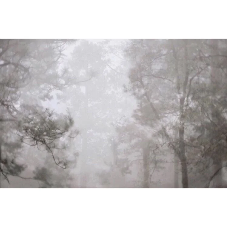 FenwickPhotoArts_4x4_PrintSale_12.jpg